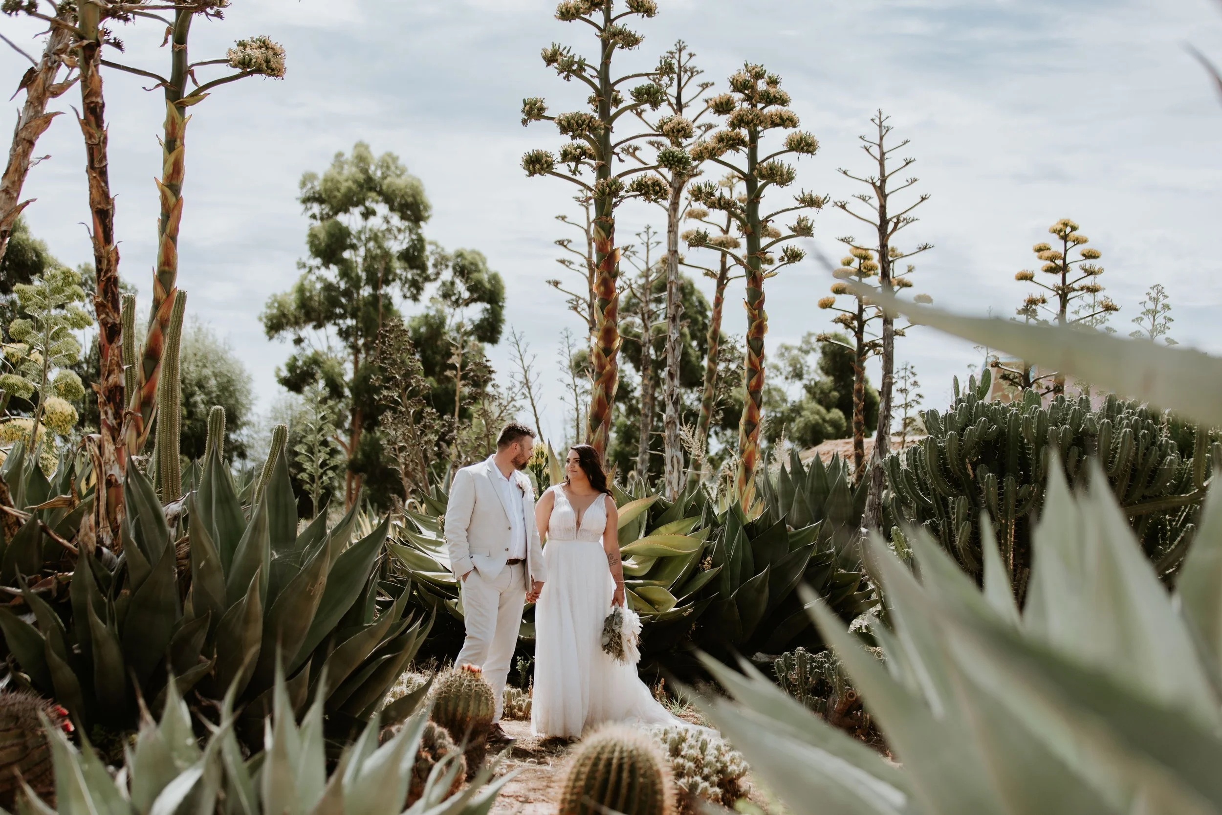 A bride and groom holding hands in a desert landscape with tall agave and cactus plants, and scattered trees in the background. At Cactus Country, Strathmerton