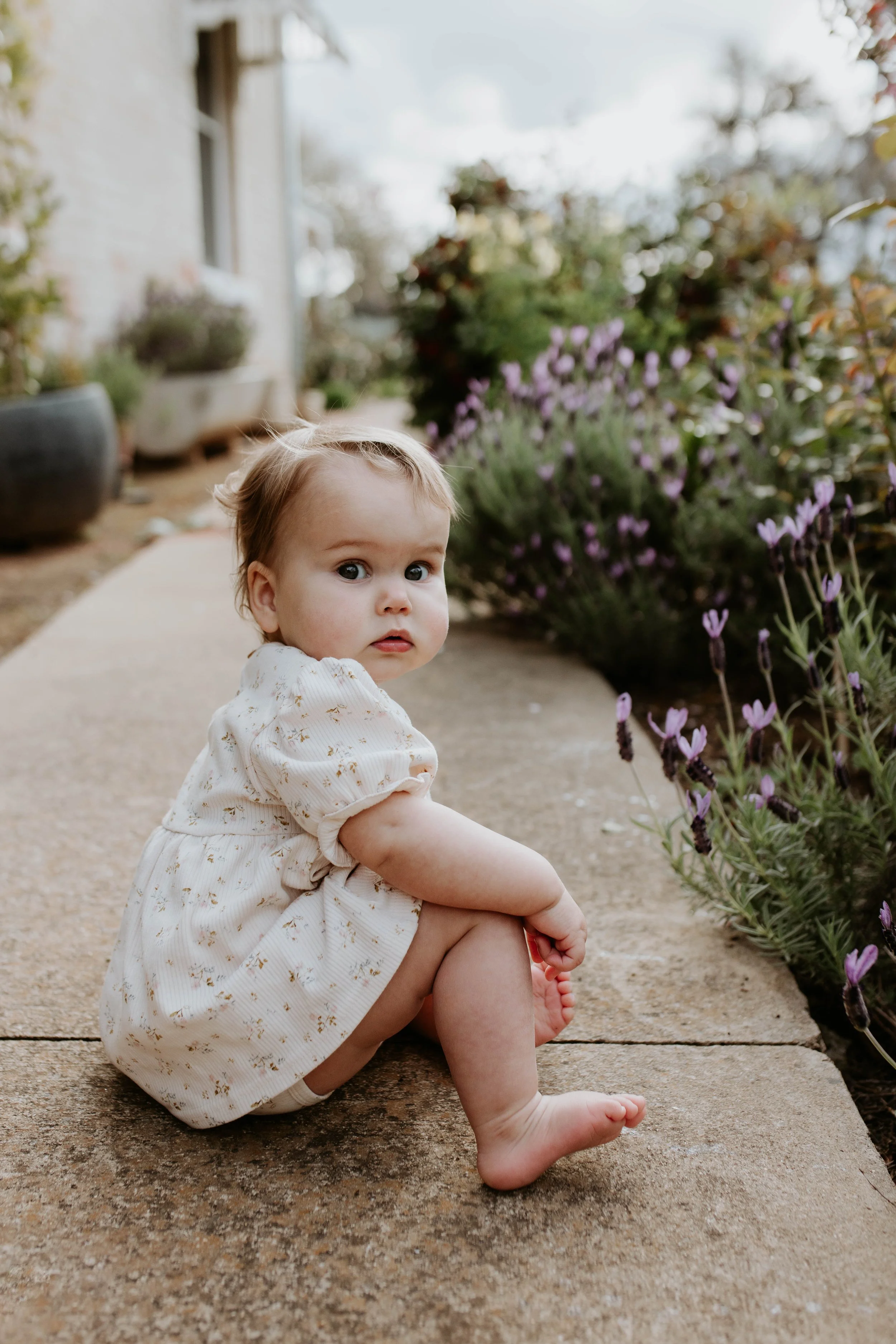 A young child sitting on a sidewalk near purple flowers in a garden, looking back over her shoulder.