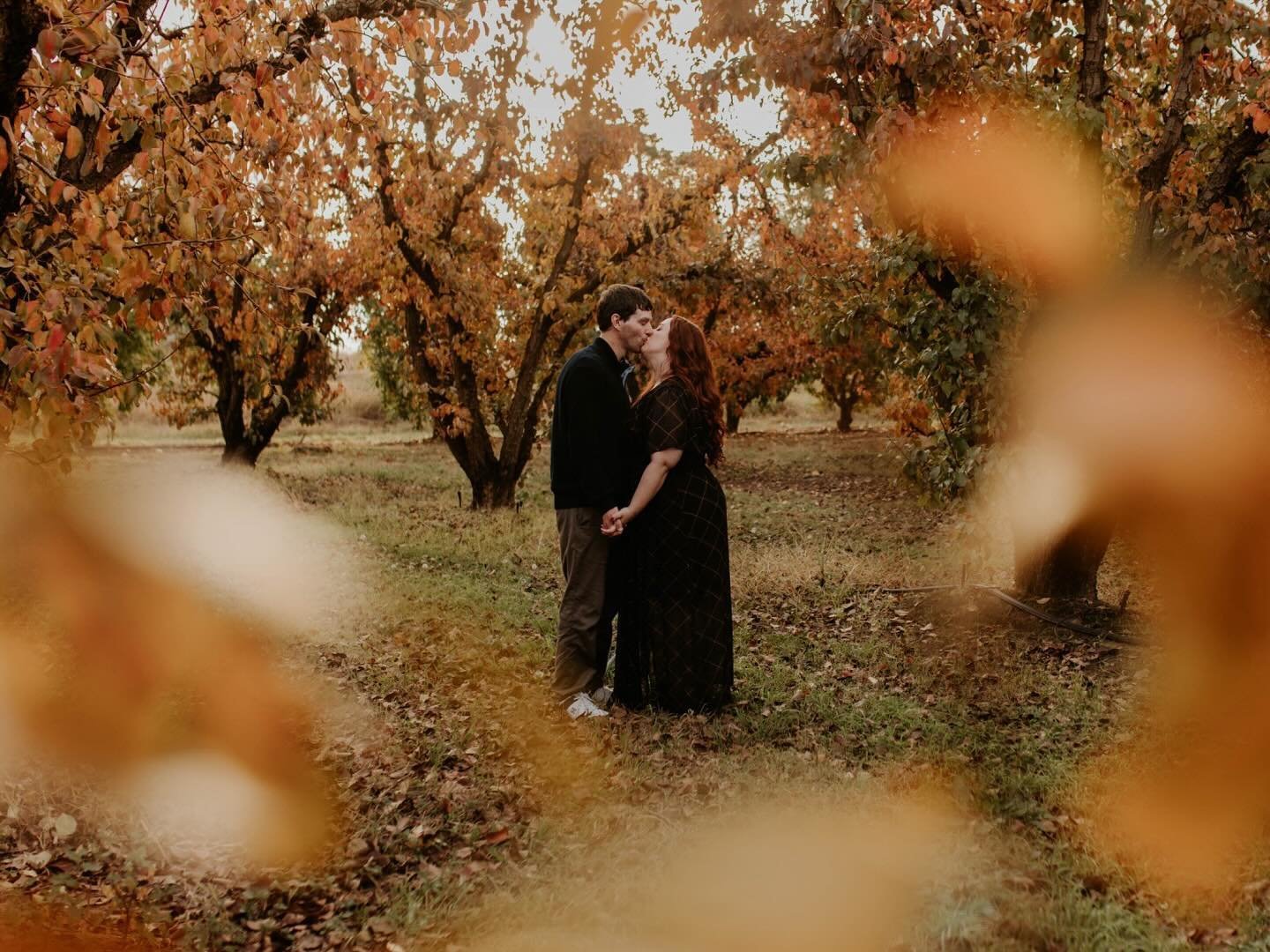 Emma + Matt, and all the glory of Autumn on the orchard last night for a seriously GORGEOUS pre-wedding session🍁🍂🍁 

It always starts with the couple telling me they are super awkward in photos and then 👆🏻😍🤗 The pics say it all! Emma and Matt 