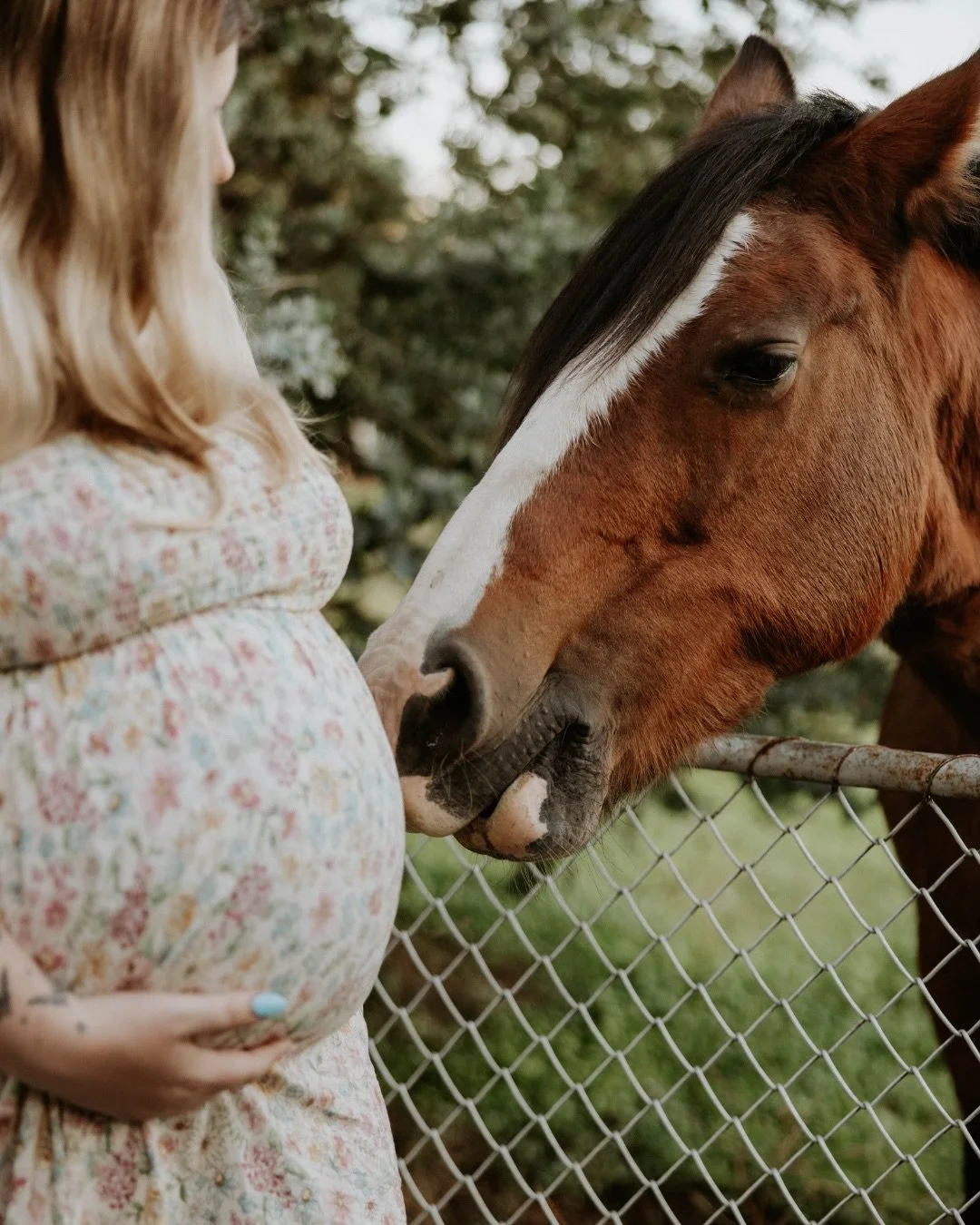 Waiting patiently on Baby Whitlock ✨ 

Capturing the very start of your parenting journey was so precious Katie + Roy. I know you&rsquo;re going to smash it out of the park and this little bean of yours is going to love his/her horses and trucks just