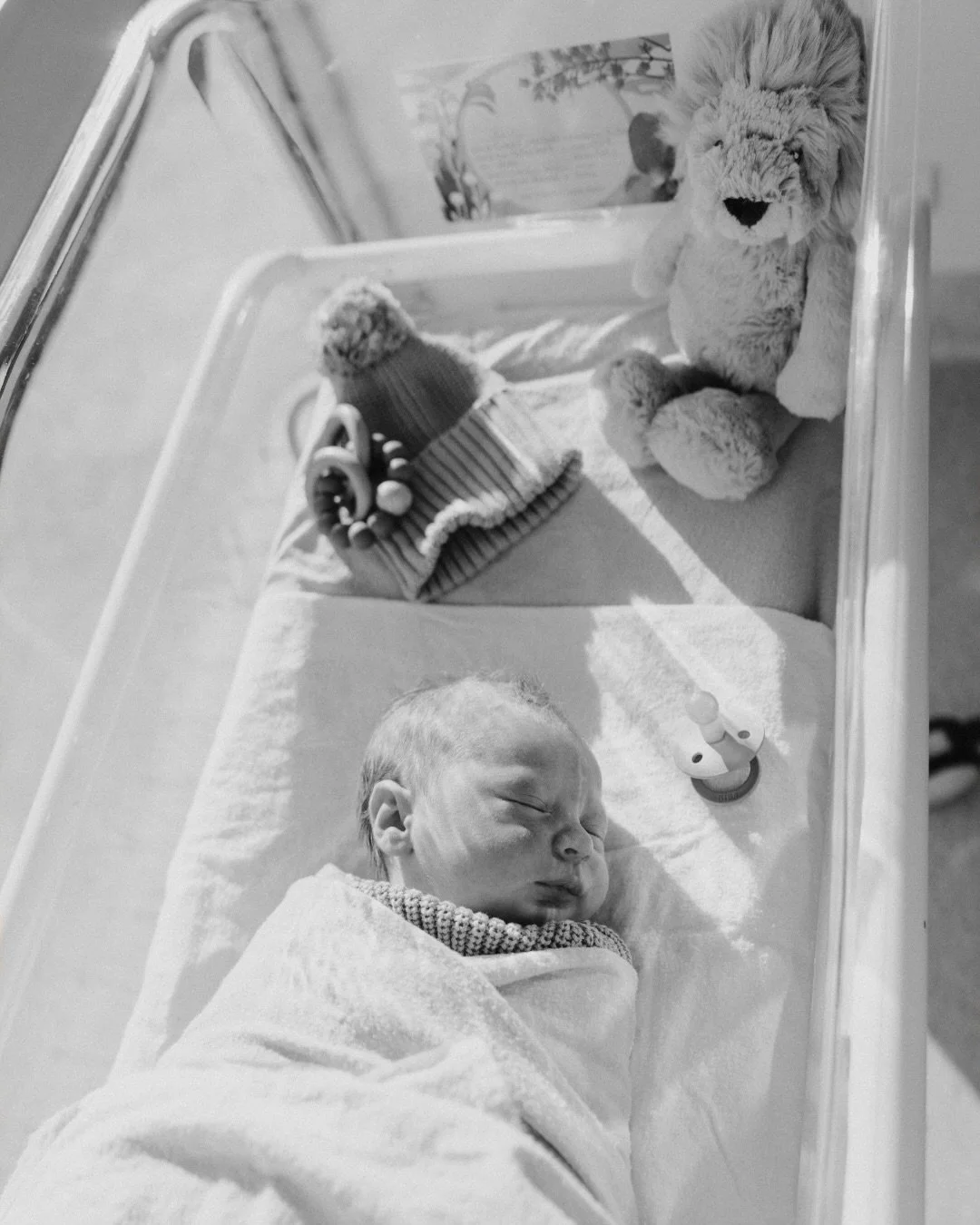 When Vinnie met Jonty 🥺🥺🥺🥺 

The sweetest Fresh session capturing a tiny new human less than 24 hours old, and a brand new big brother 🥰 

The sibling introduction has honestly got to be one of my favourite things to photograph. And these shorte