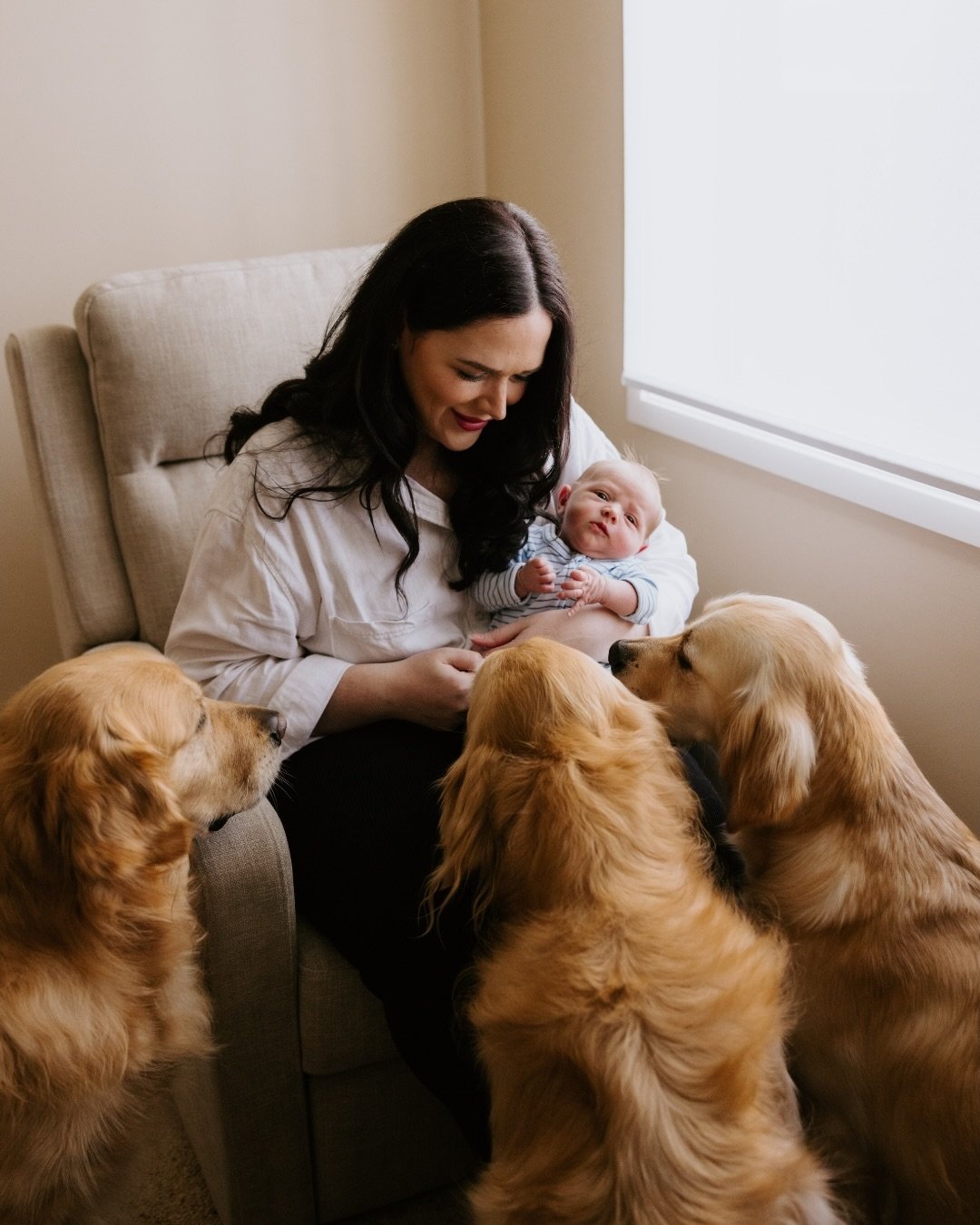 Winter has been full of newborn babies around here, and I&rsquo;m really not mad about it 😍

Meet this cutie, Hudson James 🤍

A new little person to love for Maddie + Will. The sweetest nursery waiting for him &mdash; complete with a golden retriev