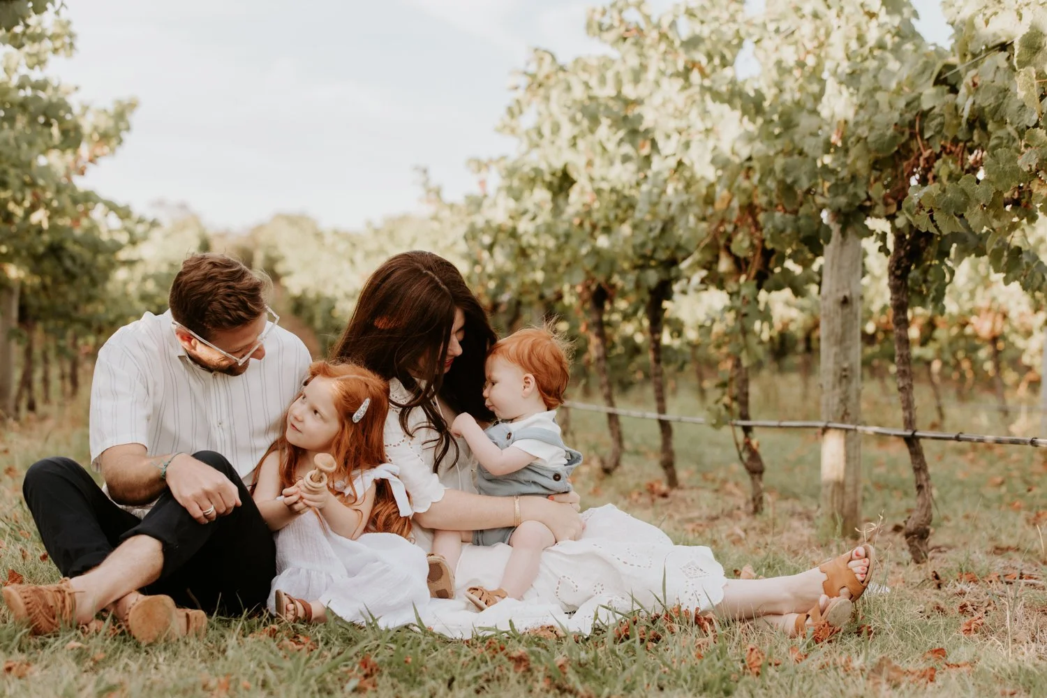 Family sitting on grass in vineyard, with grapevines in background, enjoying a sunny day.