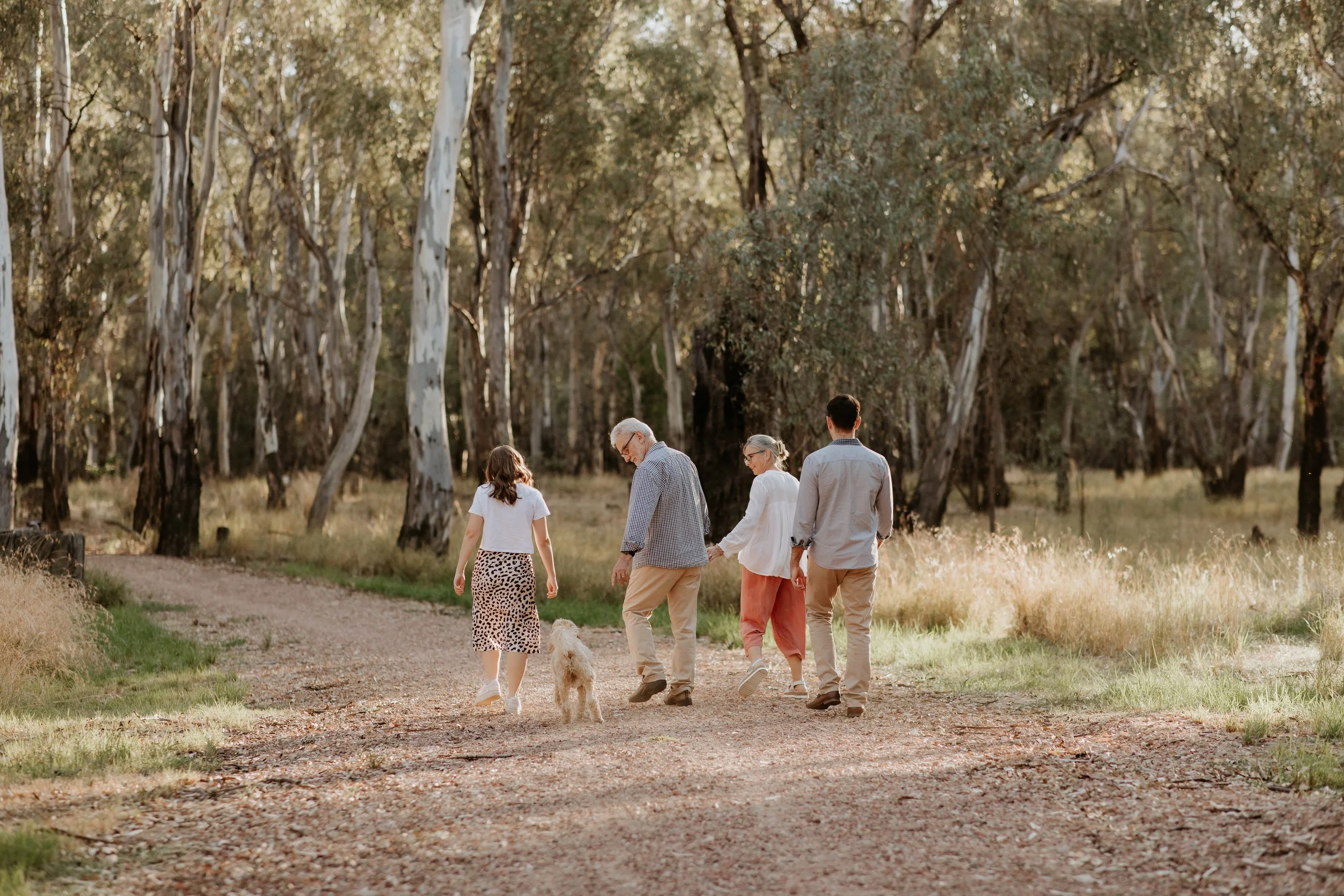 A family walking on a dirt path through a forested area with tall, slender trees during sunset.