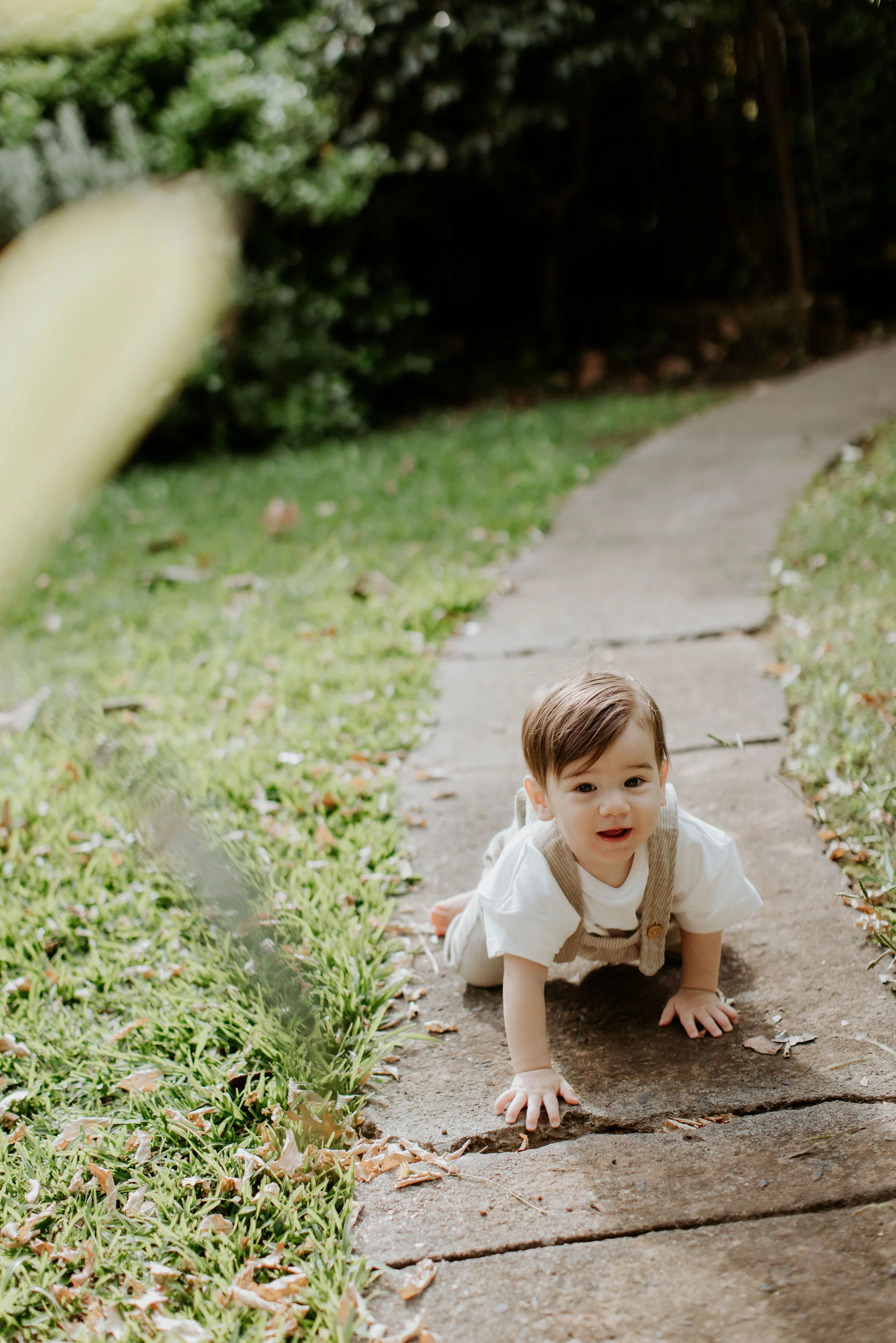 A young child crawling on a stone pathway in a backyard garden, surrounded by green grass and shrubs.