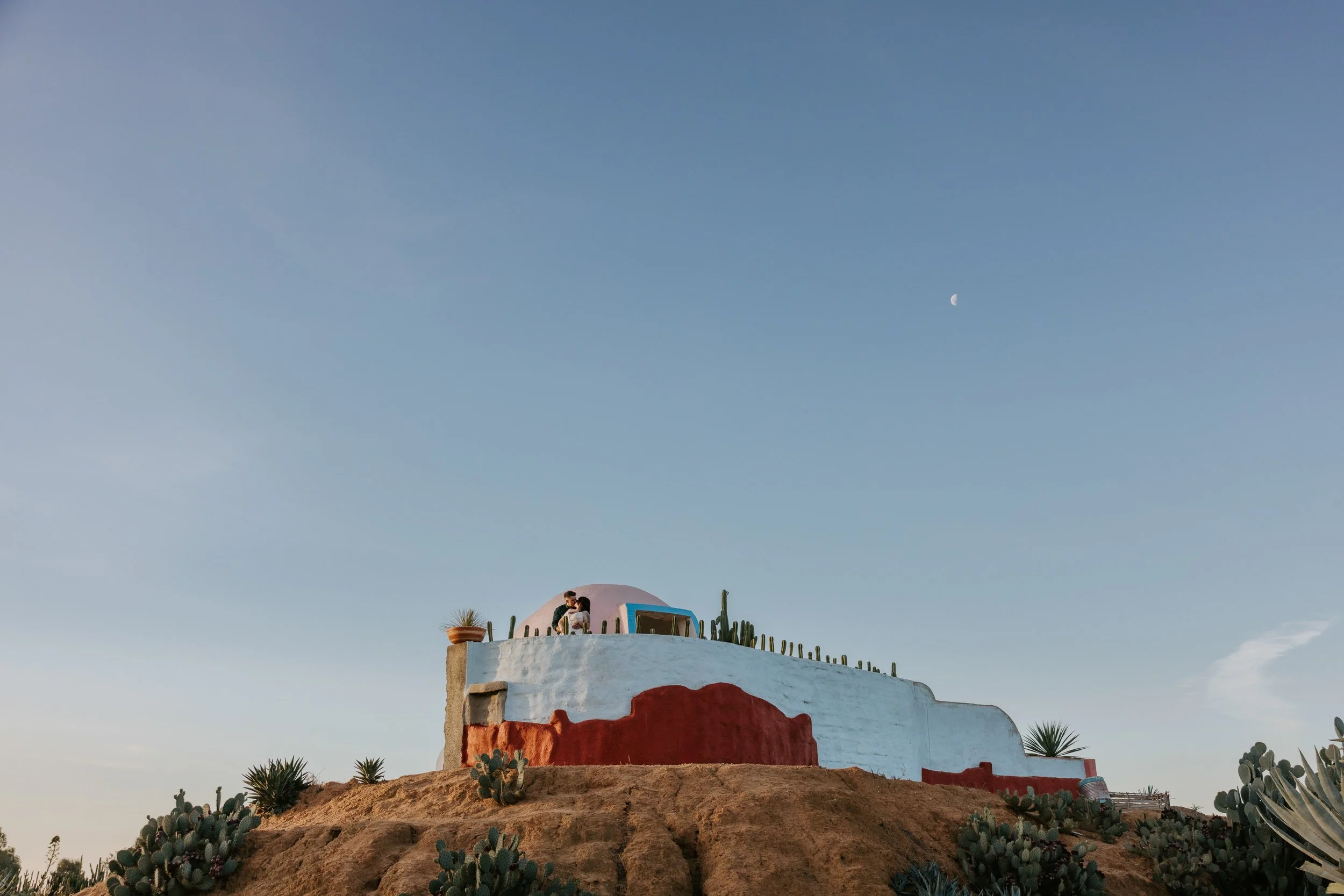 cactus country wedding.jpg