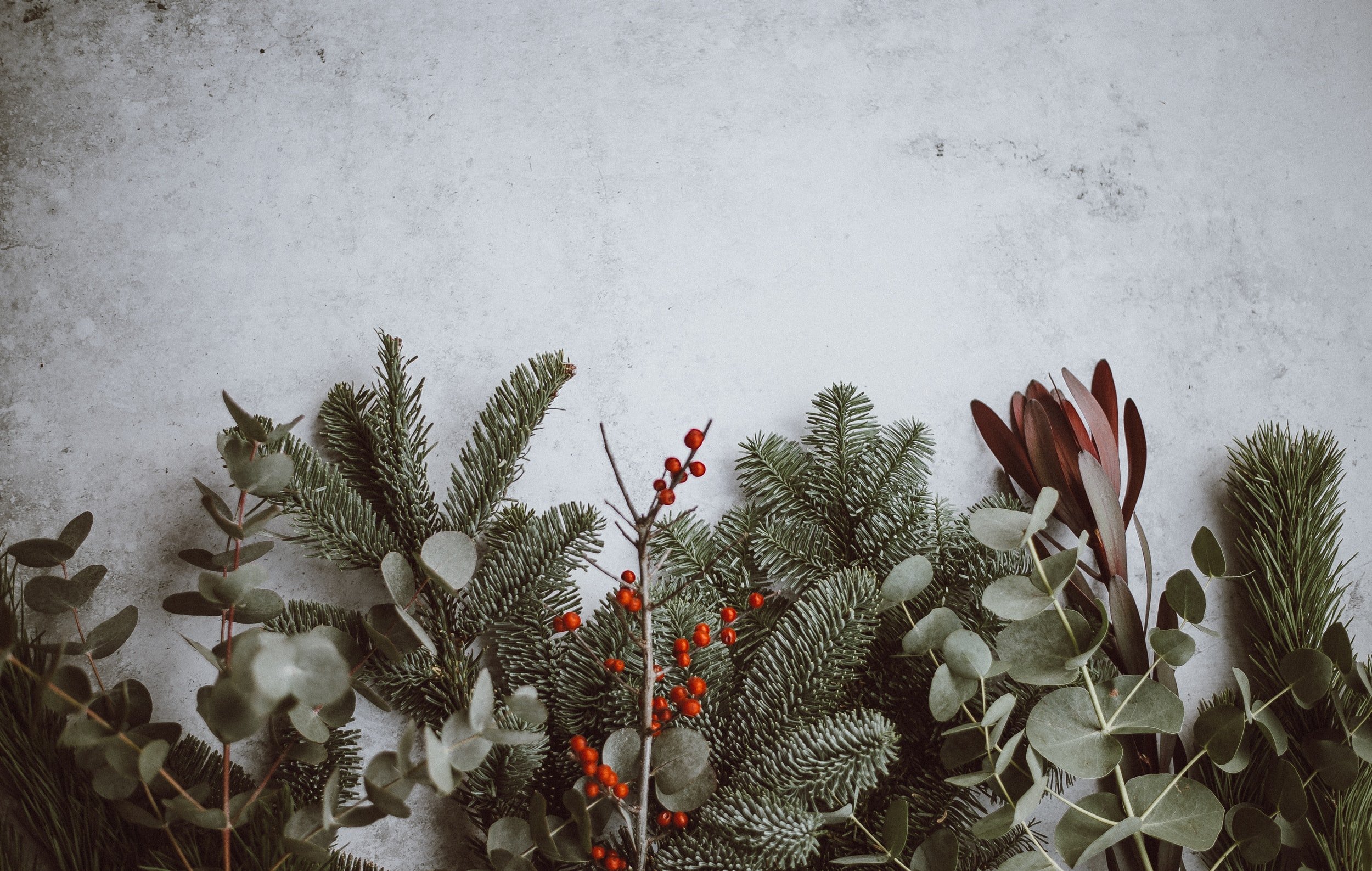 Christmas Program
