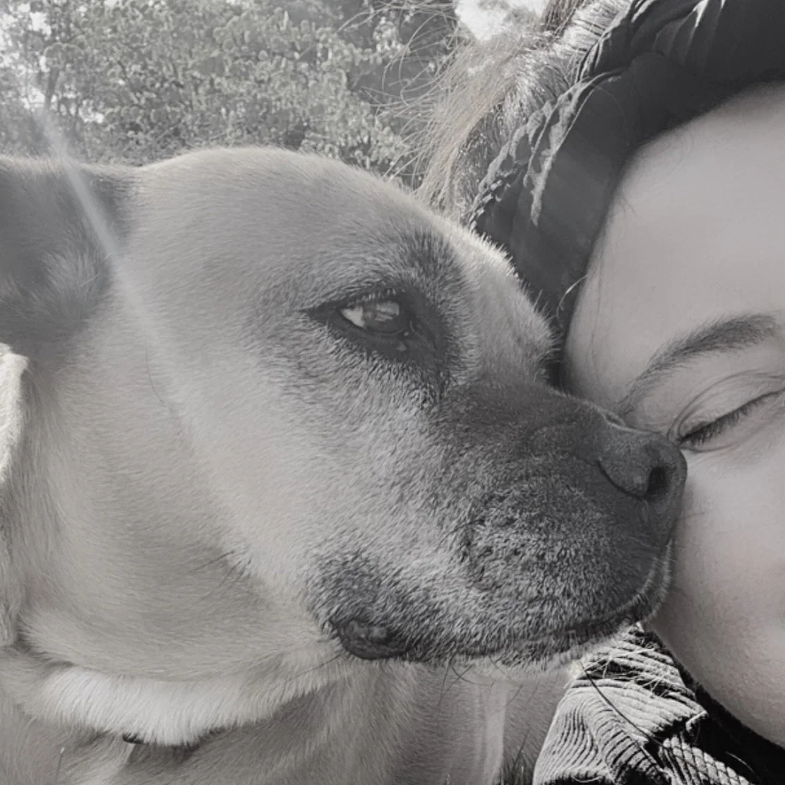 Building something meaningful takes ambition, resilience and a strong sense of purpose.

It also helps to have someone nearby who couldn&rsquo;t care less about your achievements and just wants to put their nose on your face. 😂🧡

#leadership #dogso