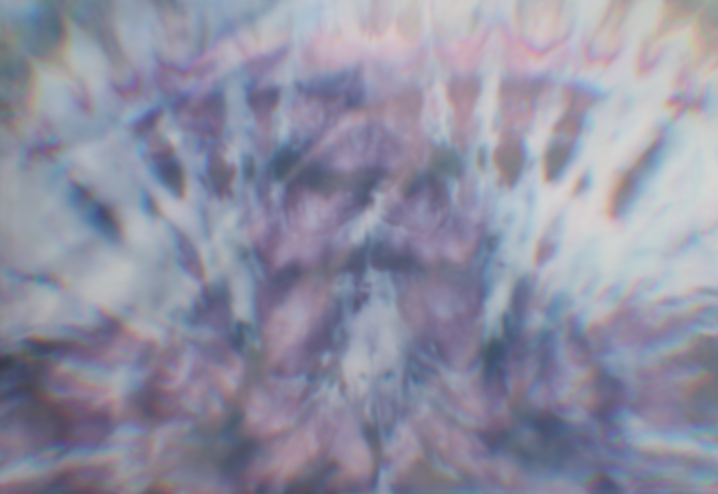 True Love Body Piercing - Watertown / Cambridge