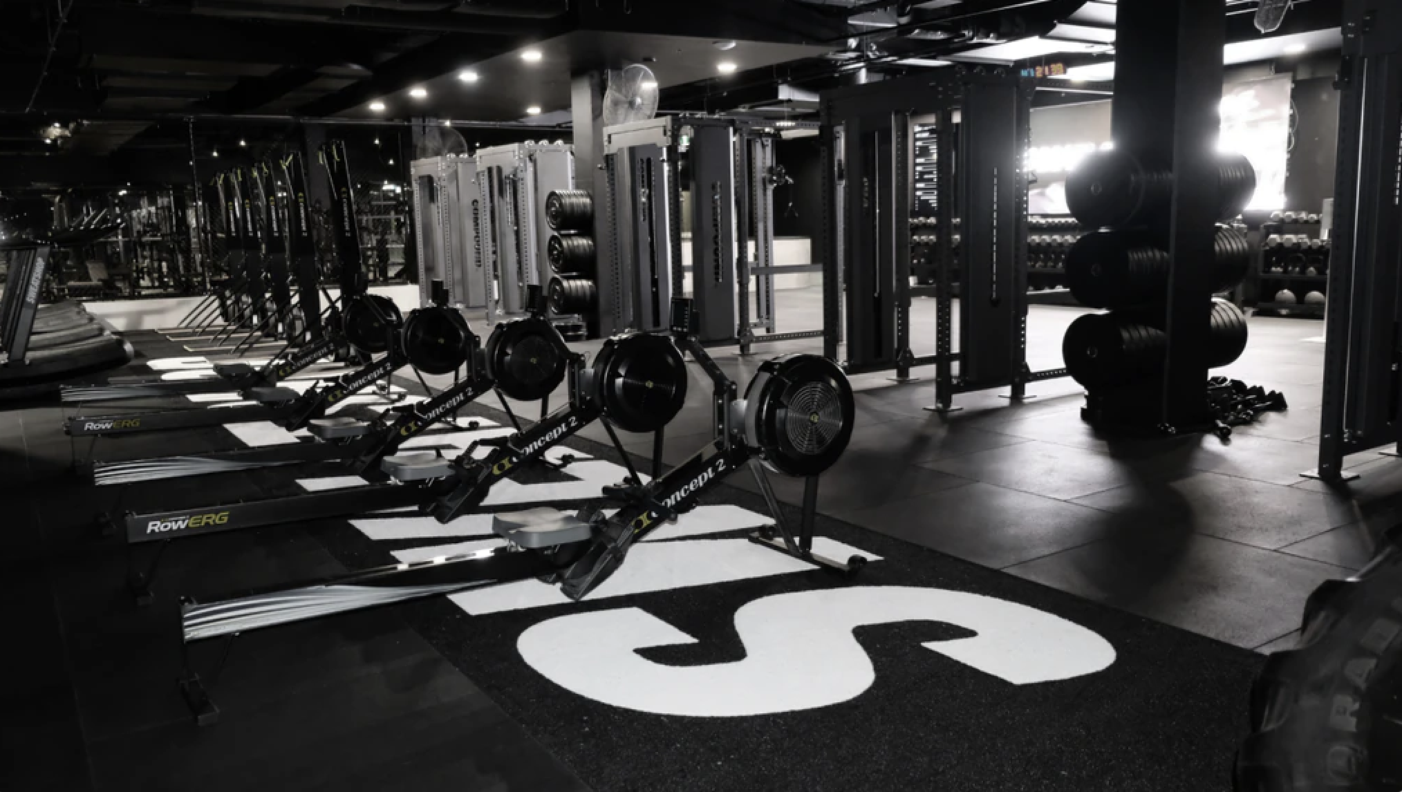 Screenshot 2024-11-30 at 7.52.23 am.png