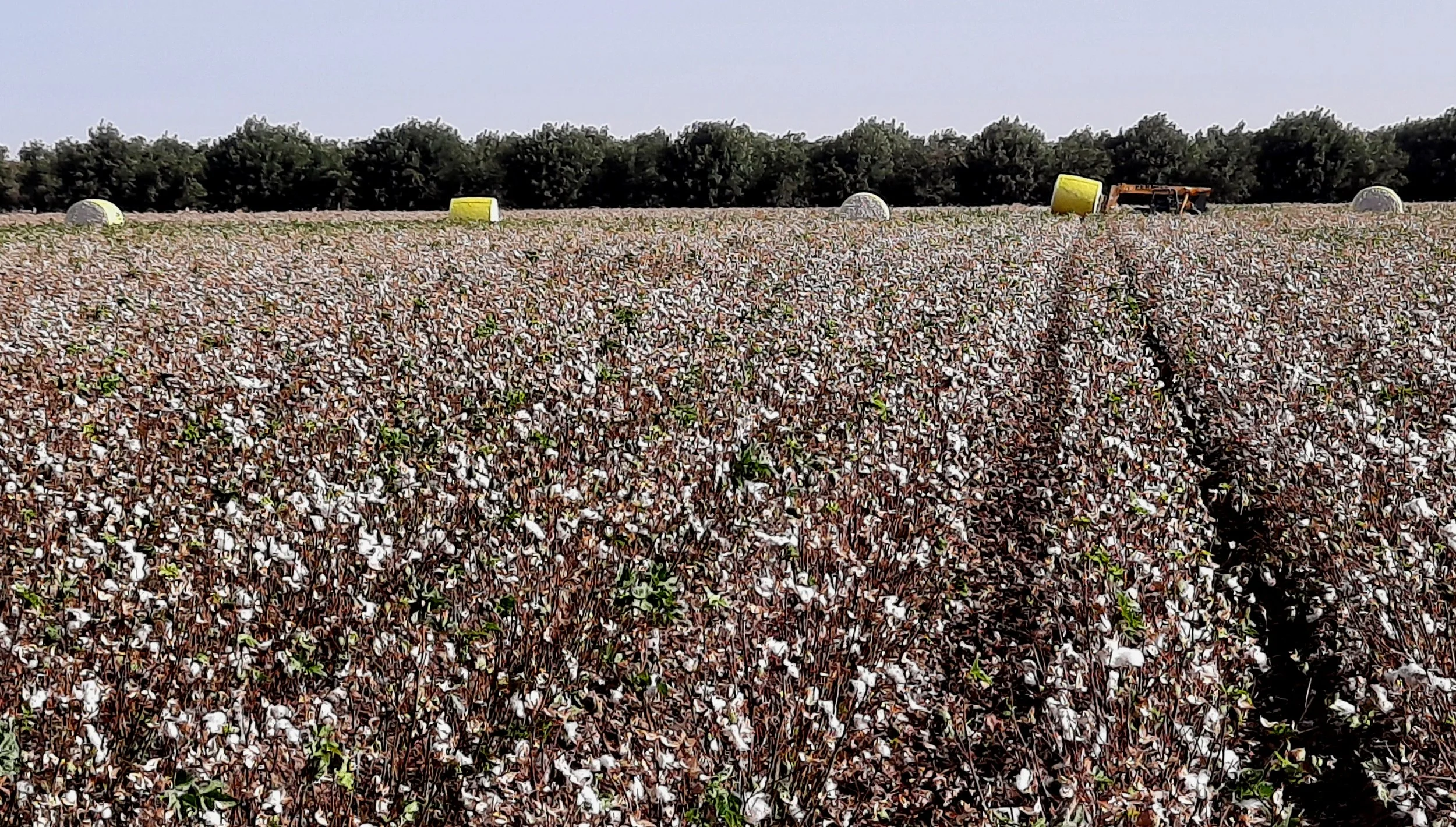 20201026_161540 -1.jpg