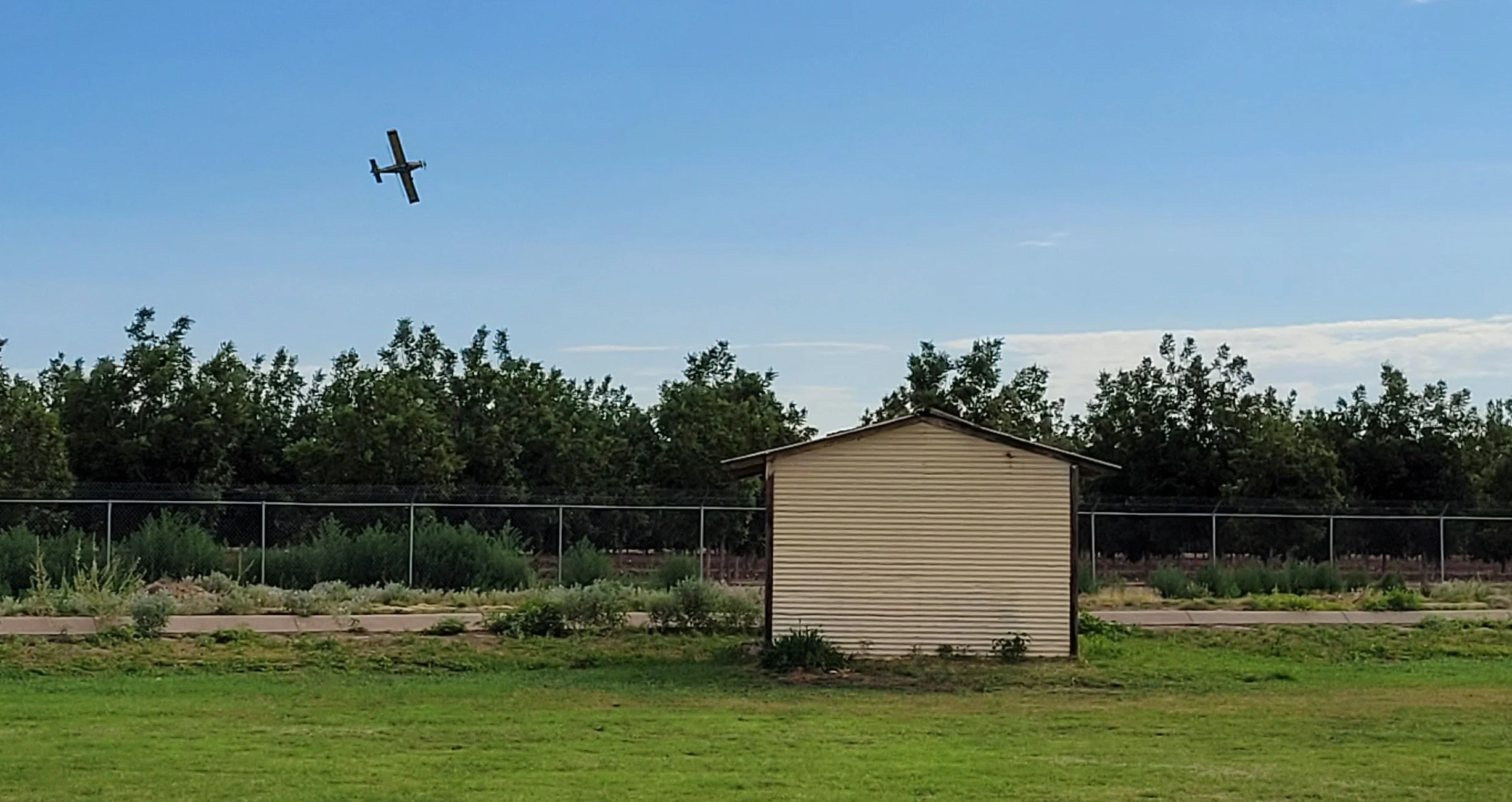 Crop duster over Pecan orchard.jpg