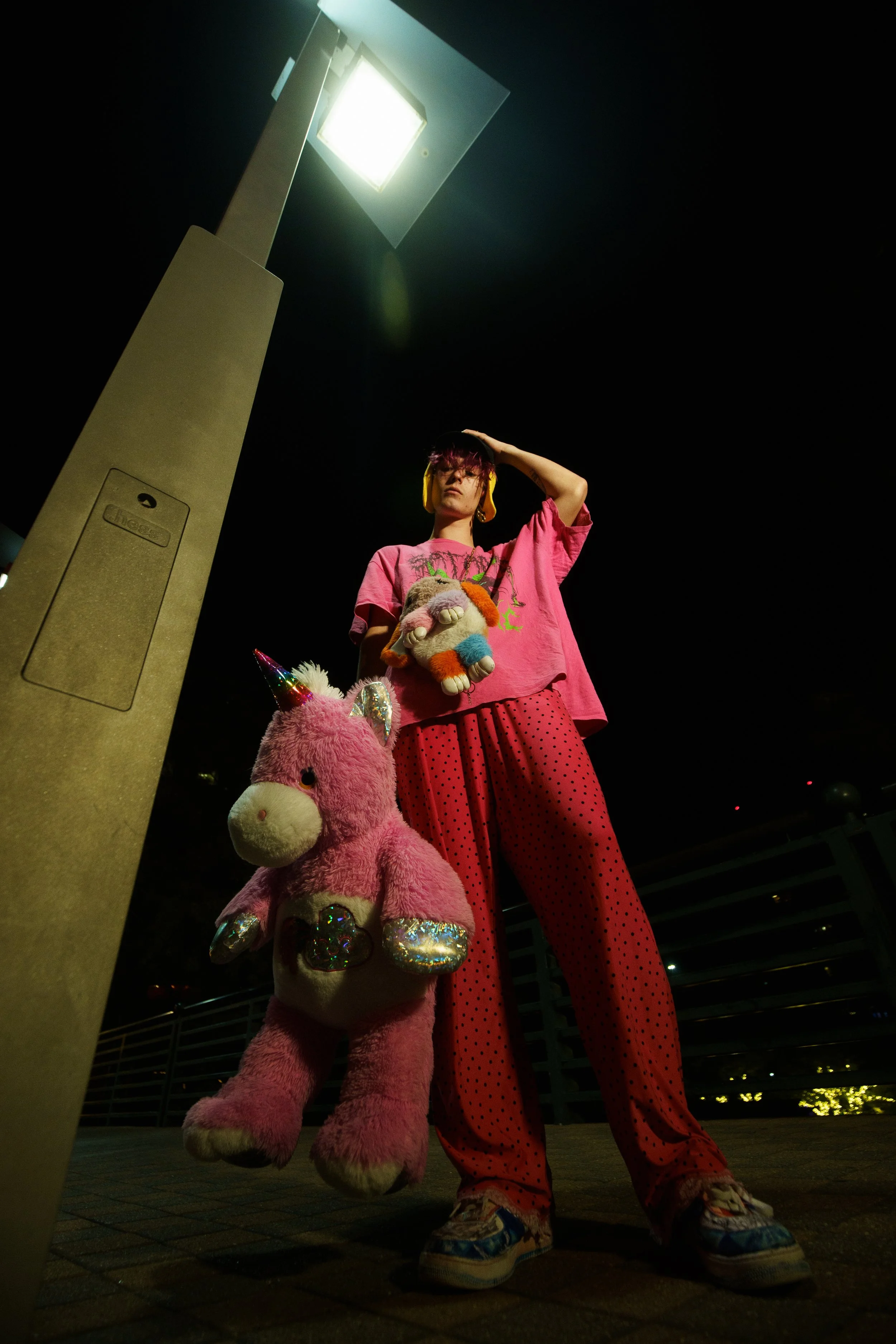 DSC08153.jpg
