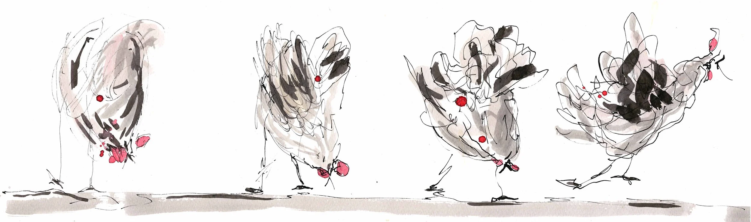 4poulets15x50.jpg