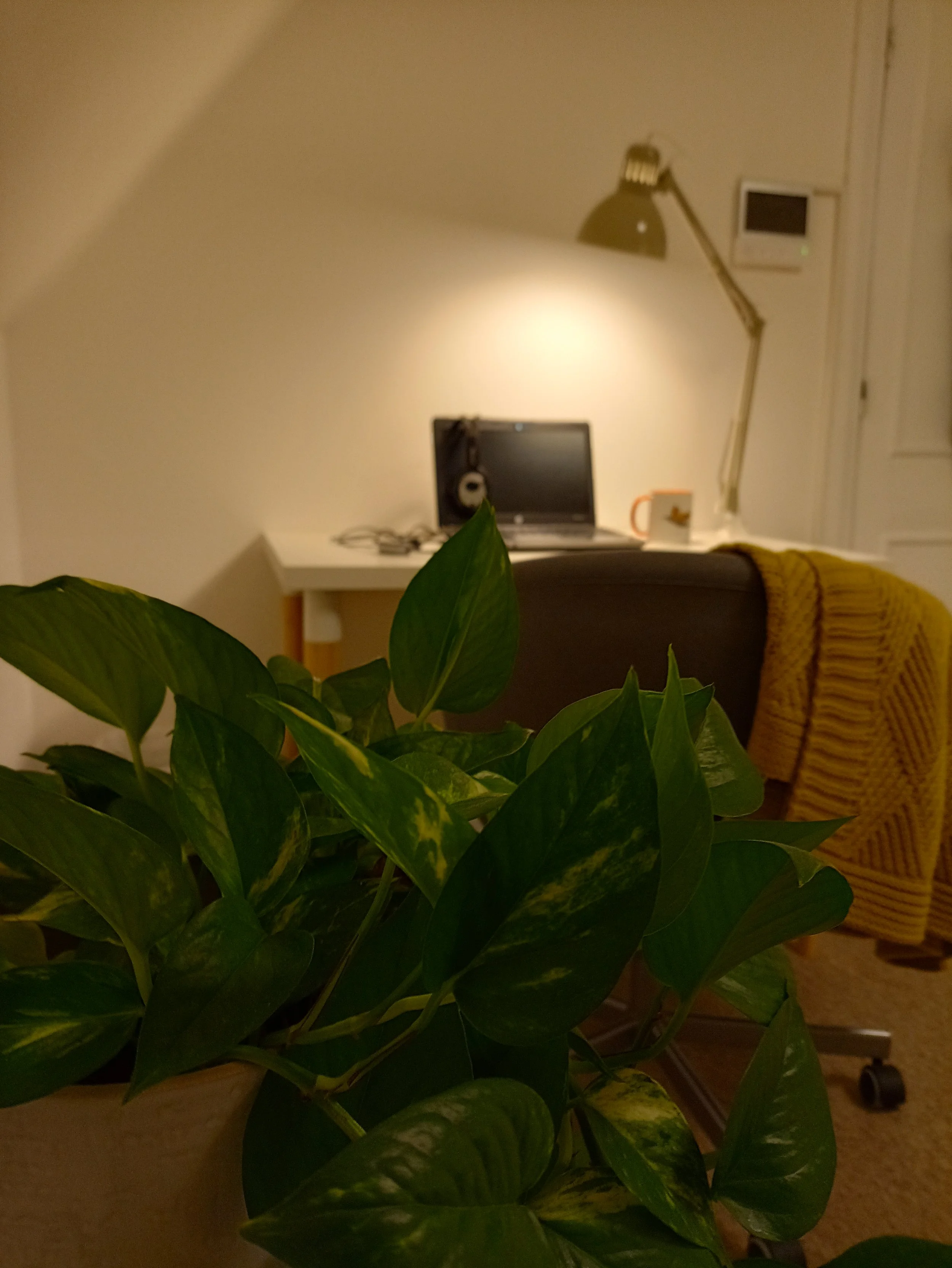 A laptop and mug is set up on a desk for online counselling. The desk chair has a yellow blanket draped over it and in the foreground is a houseplant.