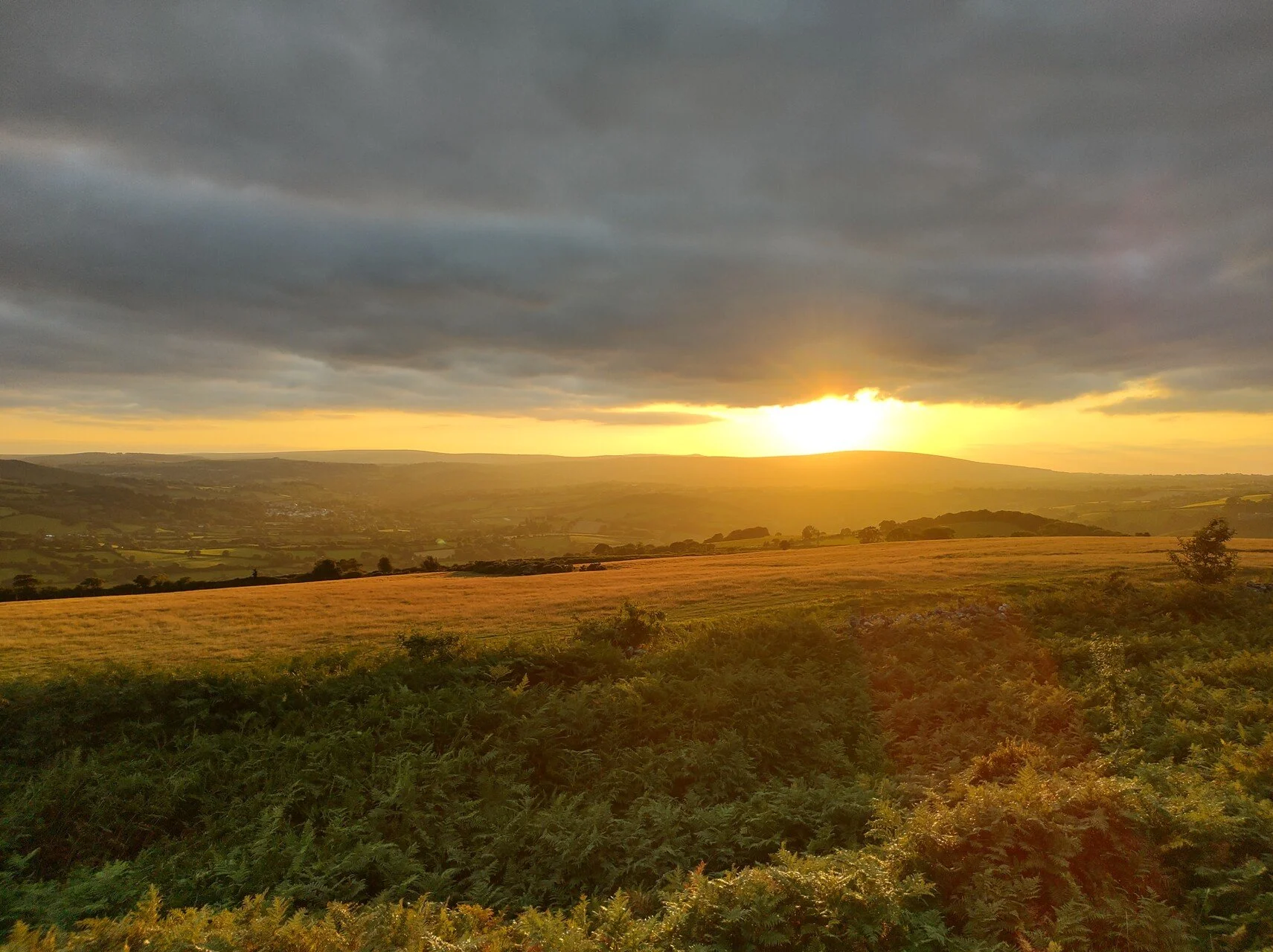 The sun setting behind Dartmoor in the distance, shrubs and fields can be seen in the foreground