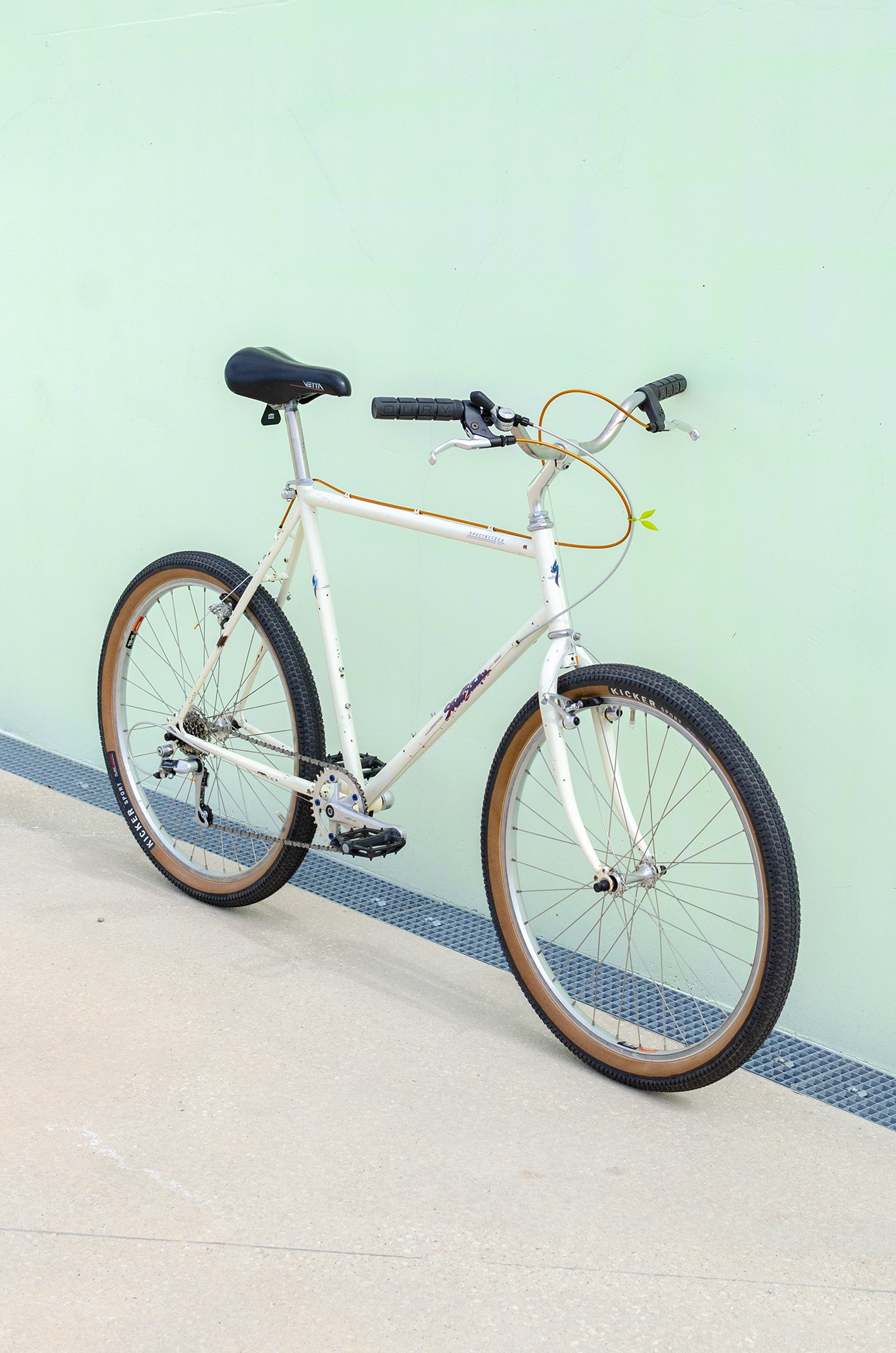 Specialized - StreetStomper 21,5"