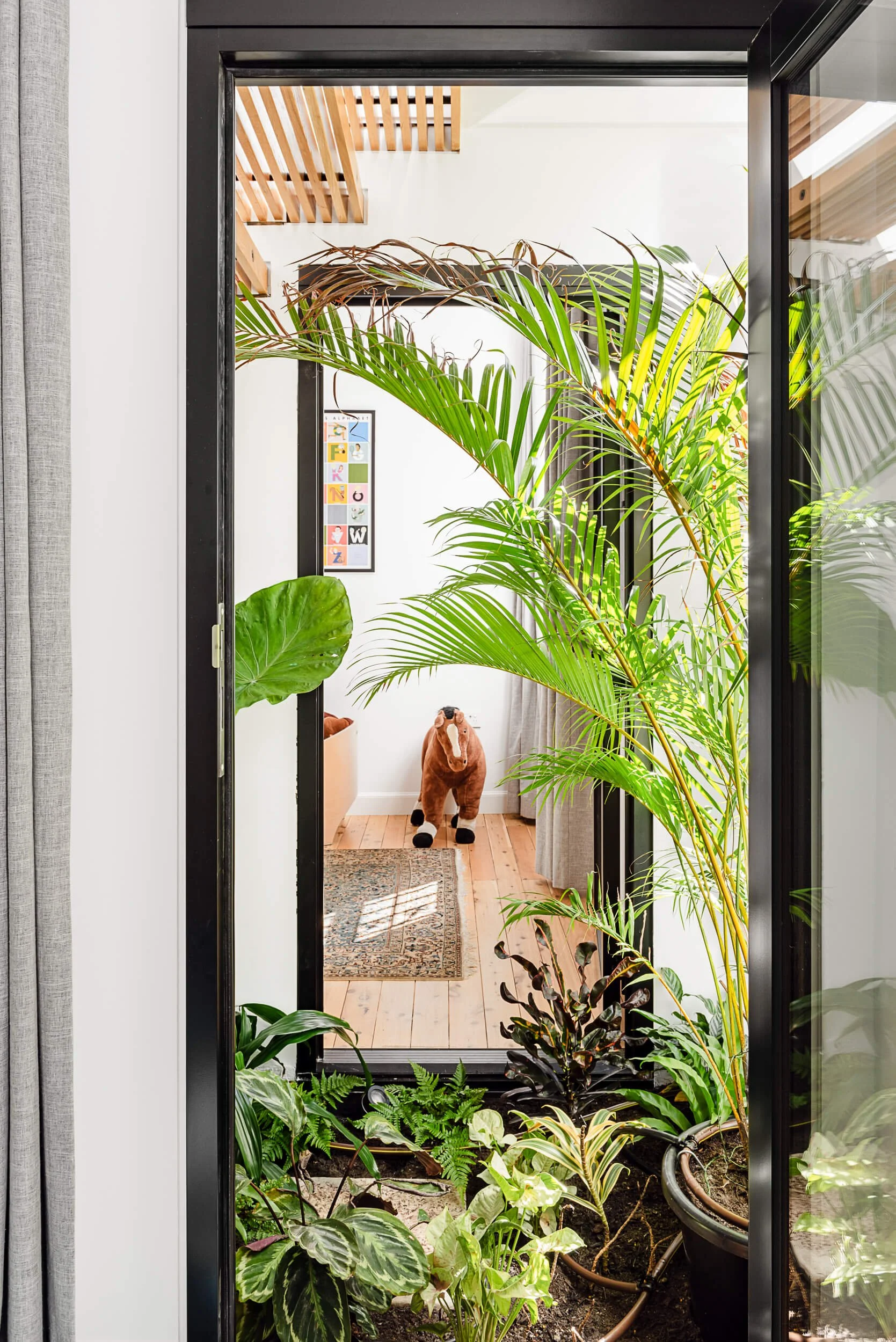 View through an open black-framed glass door across a hidden courtyard garden filled with tropical plants into a children's bedroom at Bondi Heights in Sydney, NSW