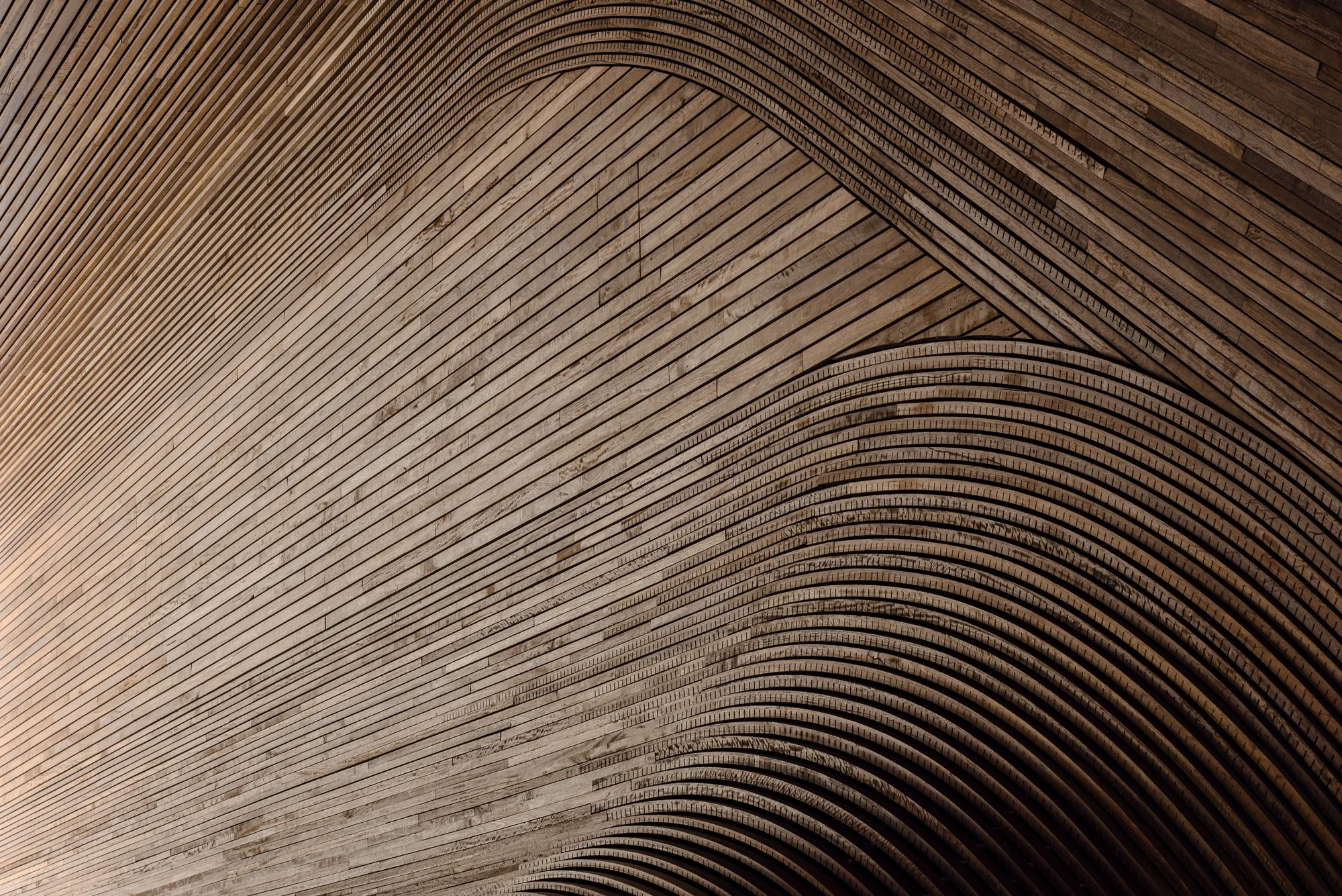 Abstract macro detail of curved, ribbed timber cladding with dramatic shadow play at the Arcadia project | Architectural Photo & Cinema NSW
