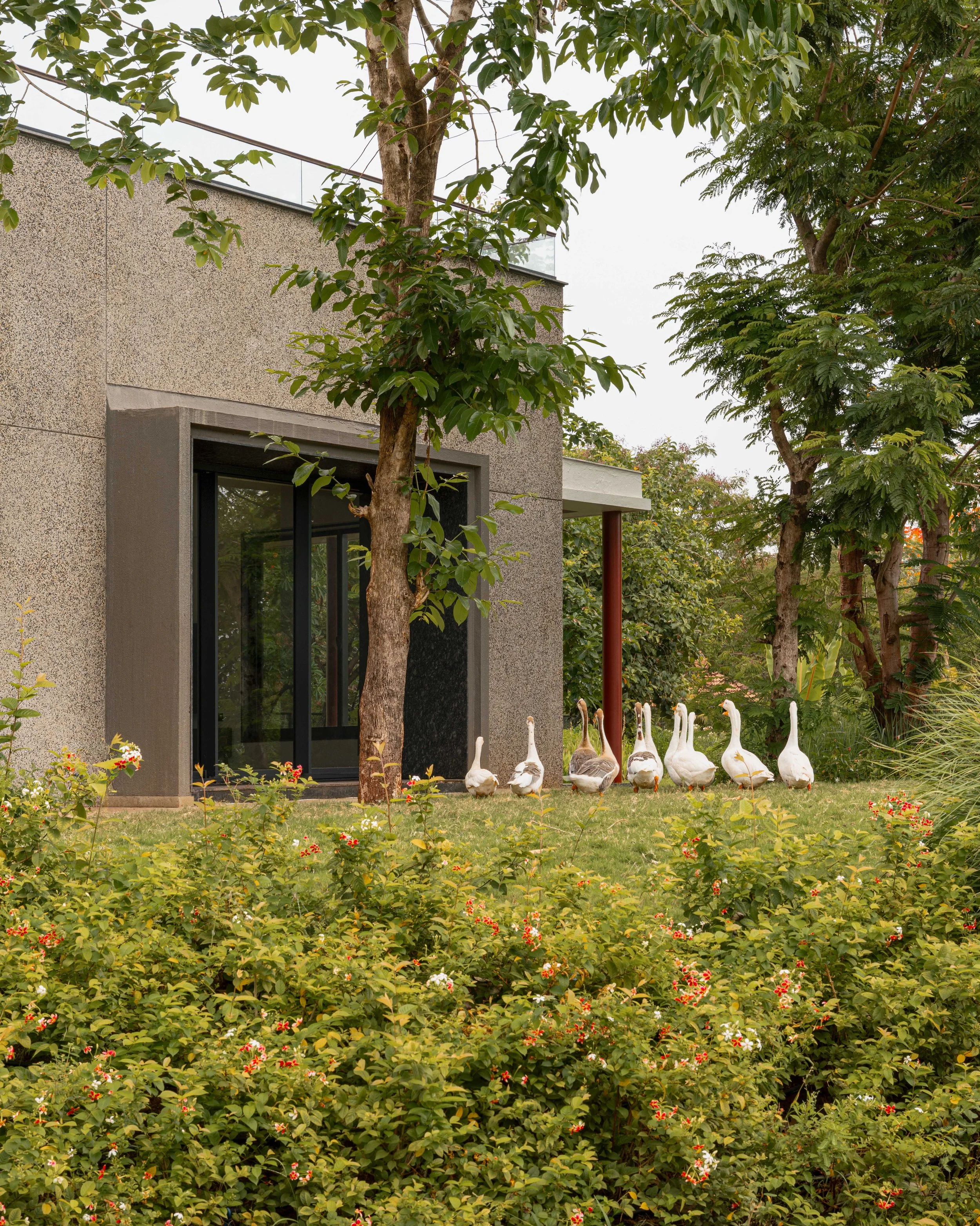 3-crop.jpg