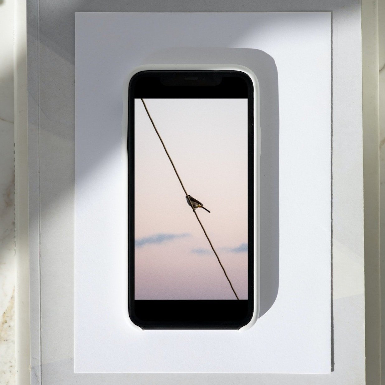 smartmockups_lfw4pqii.jpg