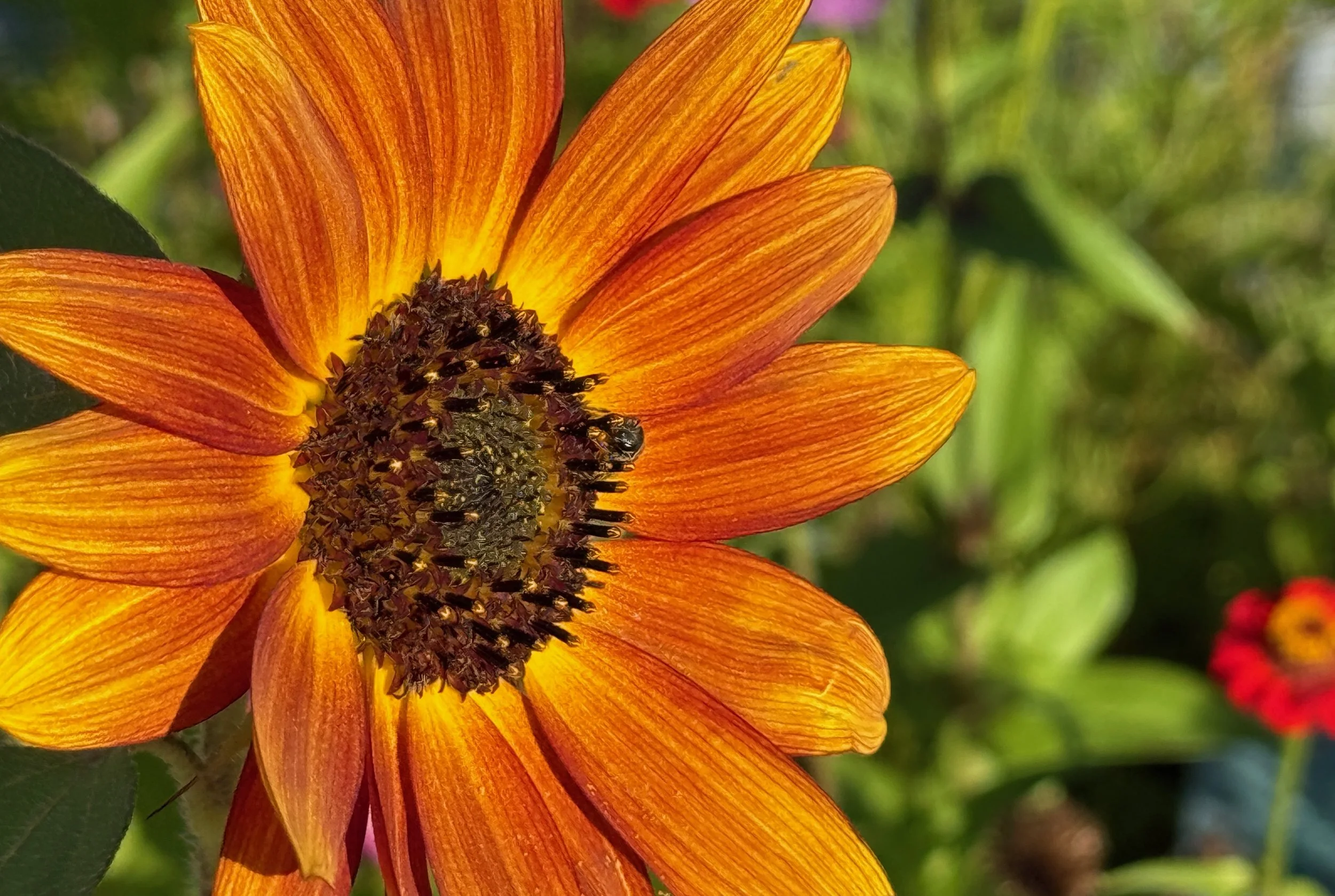 Photographer: Charles Curran