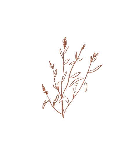 Illustration-une-2 marron.png