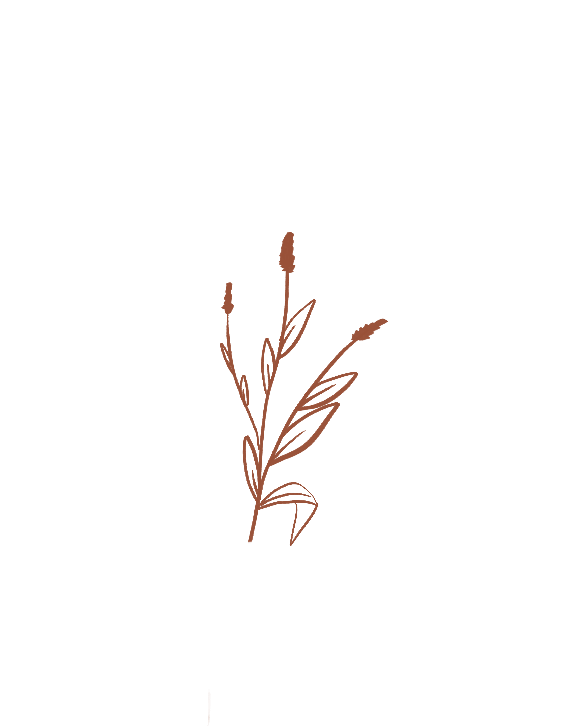 marron 2.png