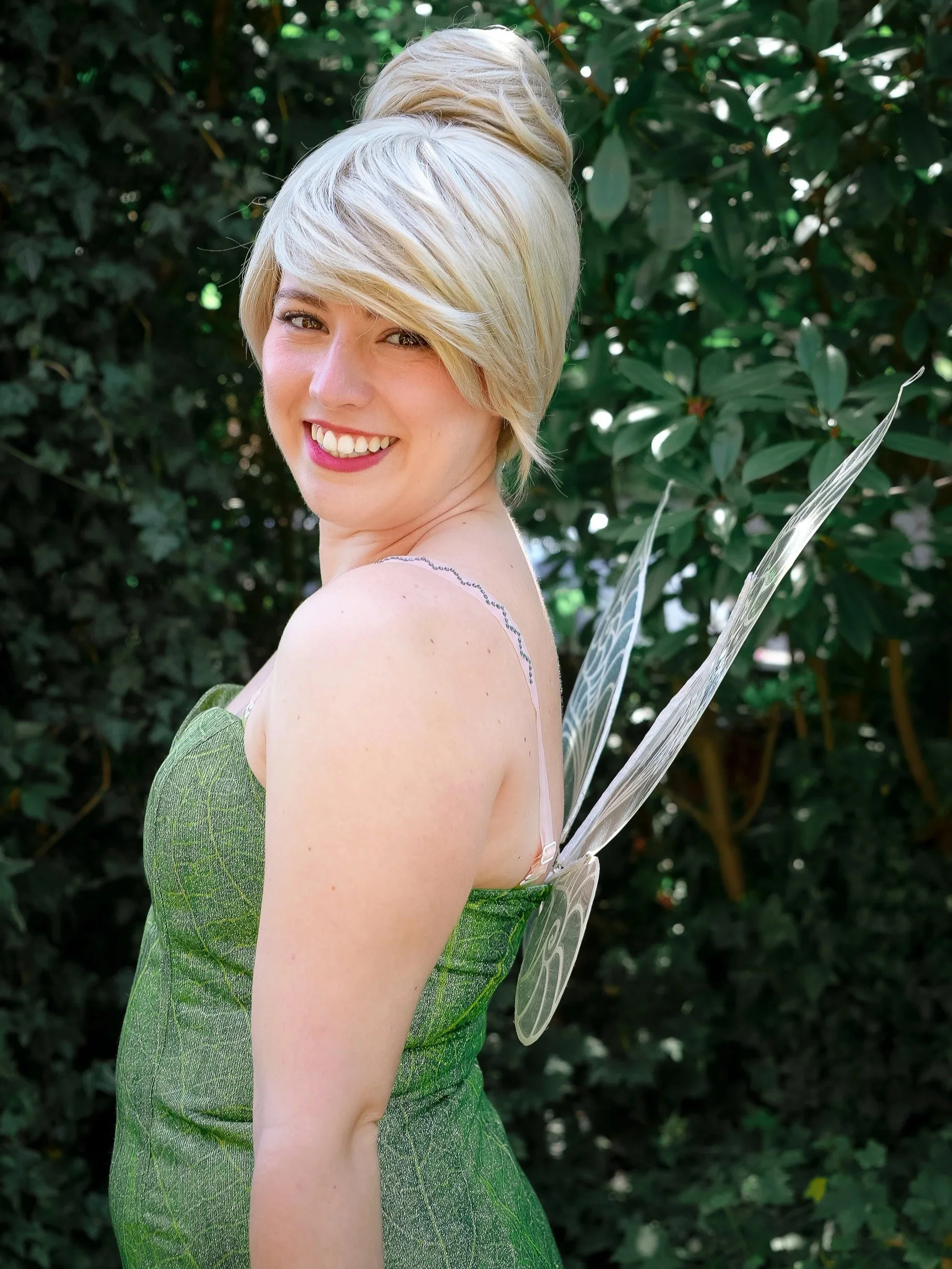The Tinker Fairy