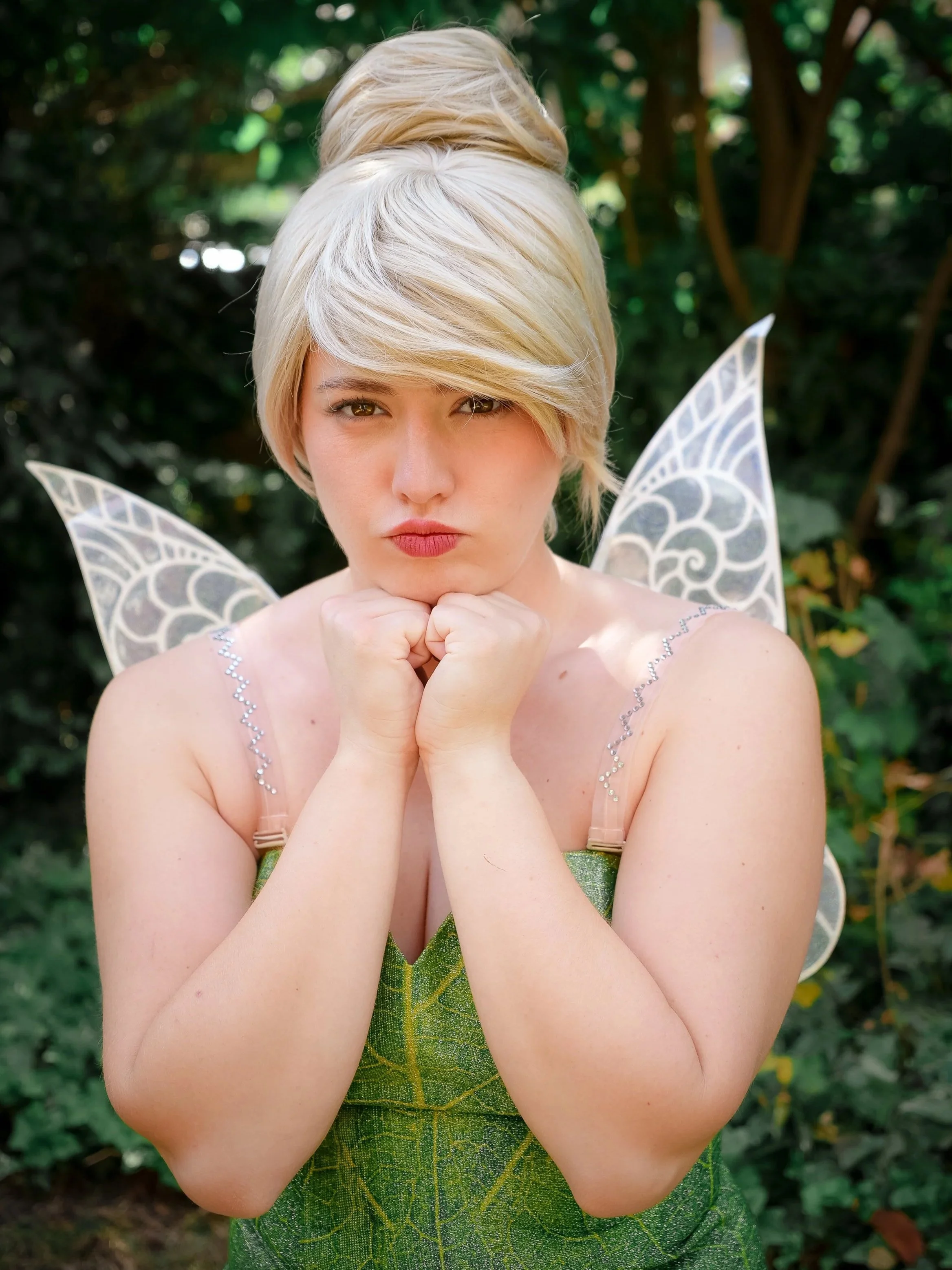 The Tinker Fairy