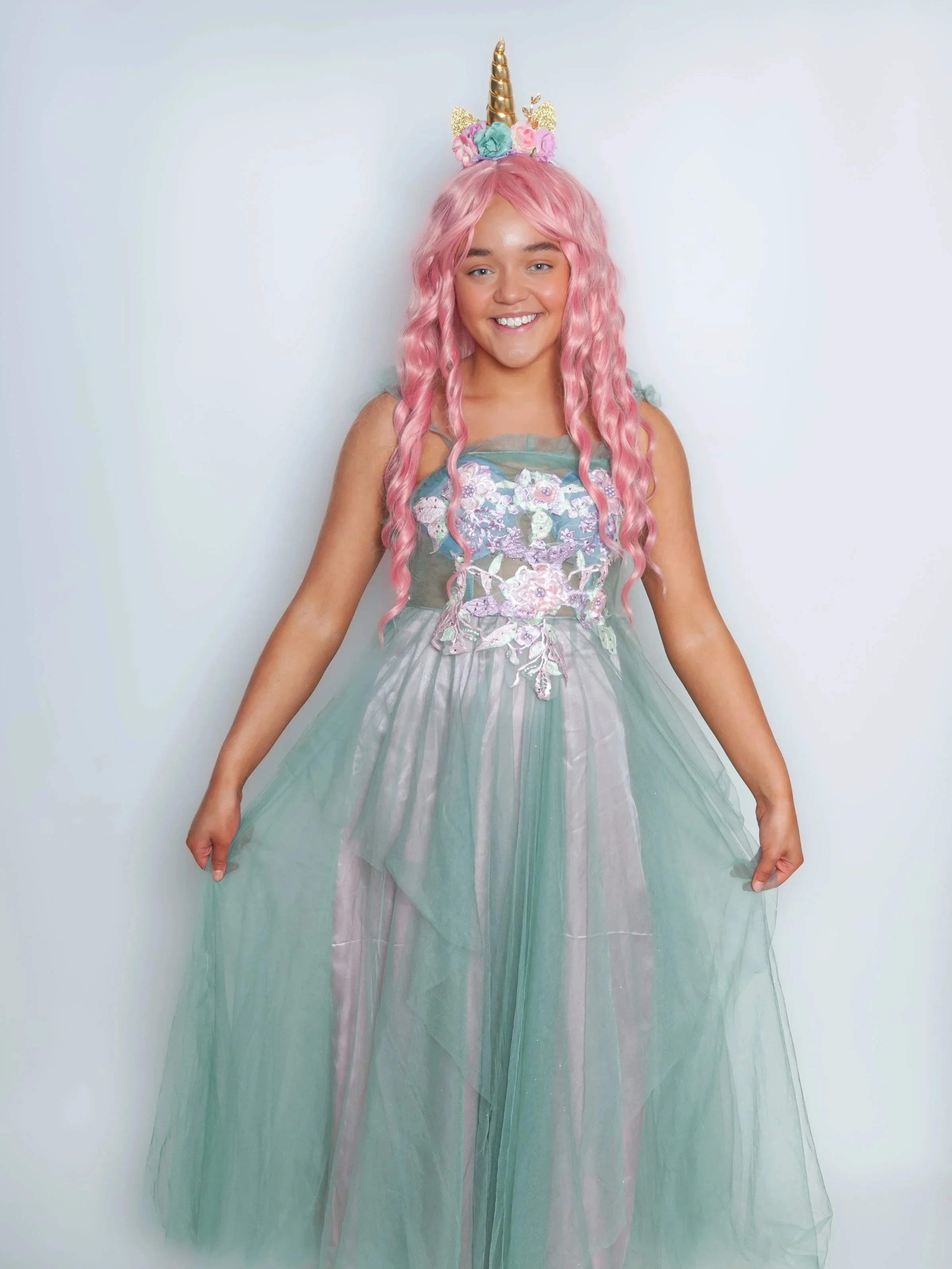 The Unicorn Princess