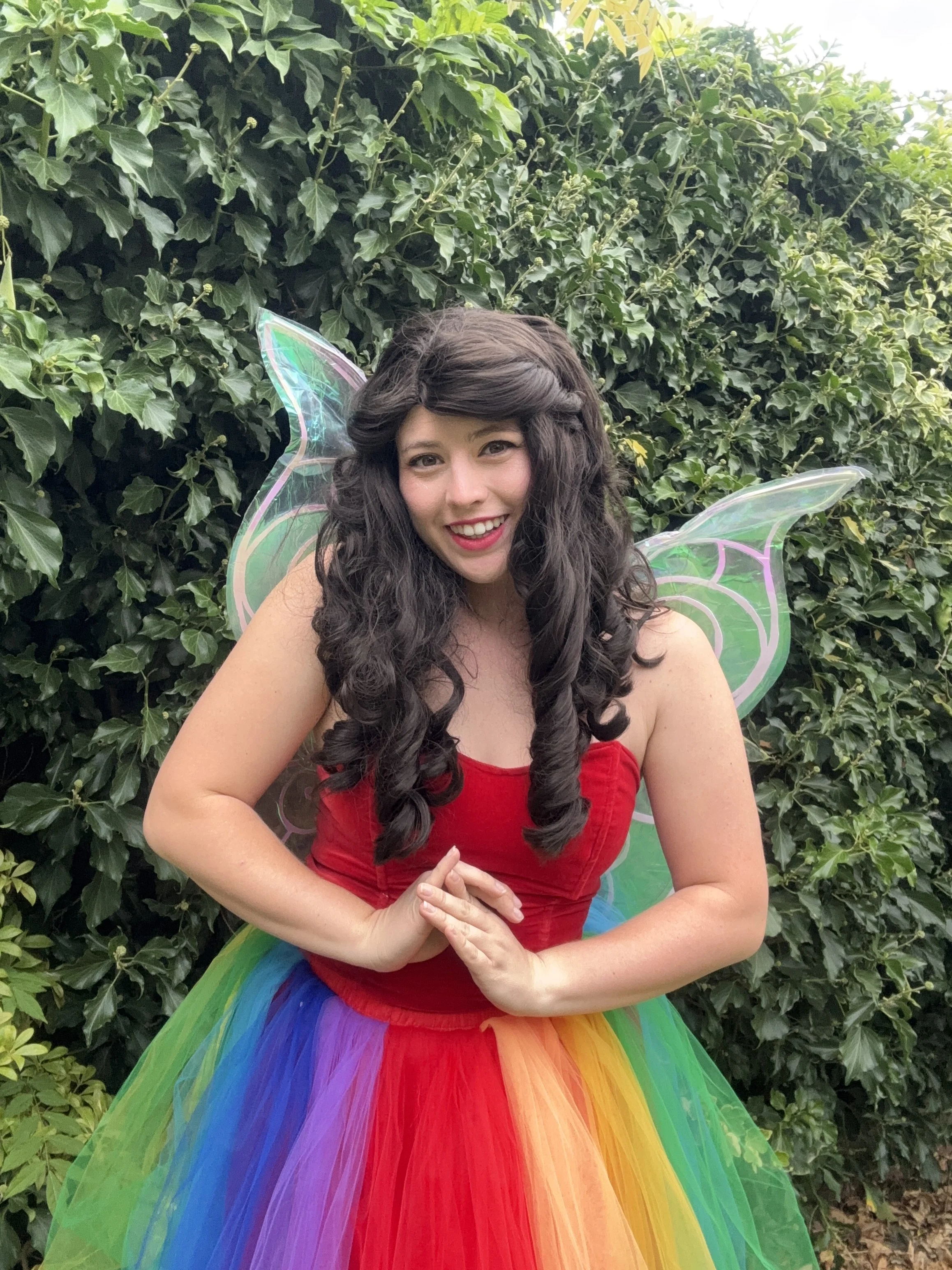 The Rainbow Fairy
