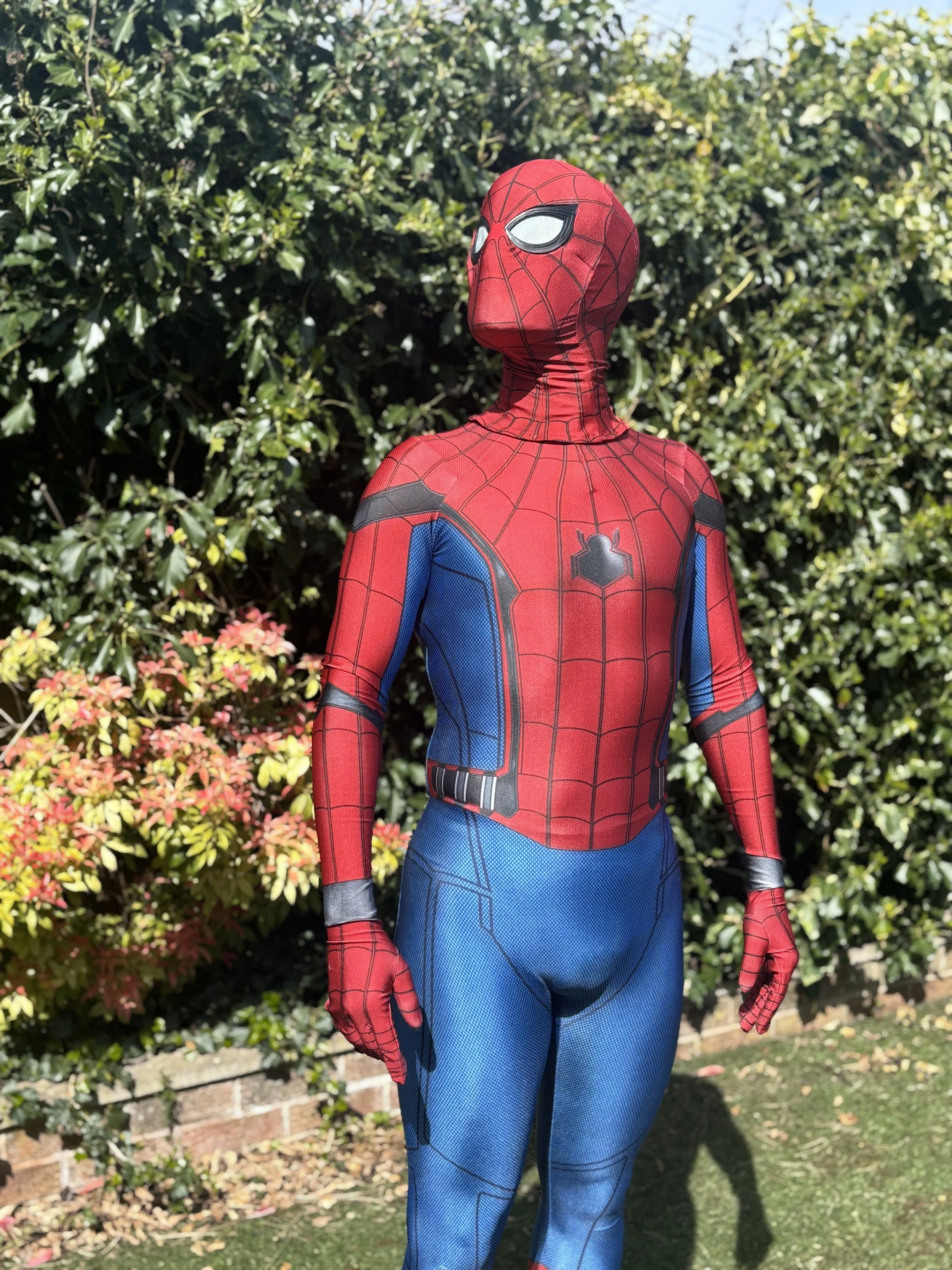 The Spider Guy