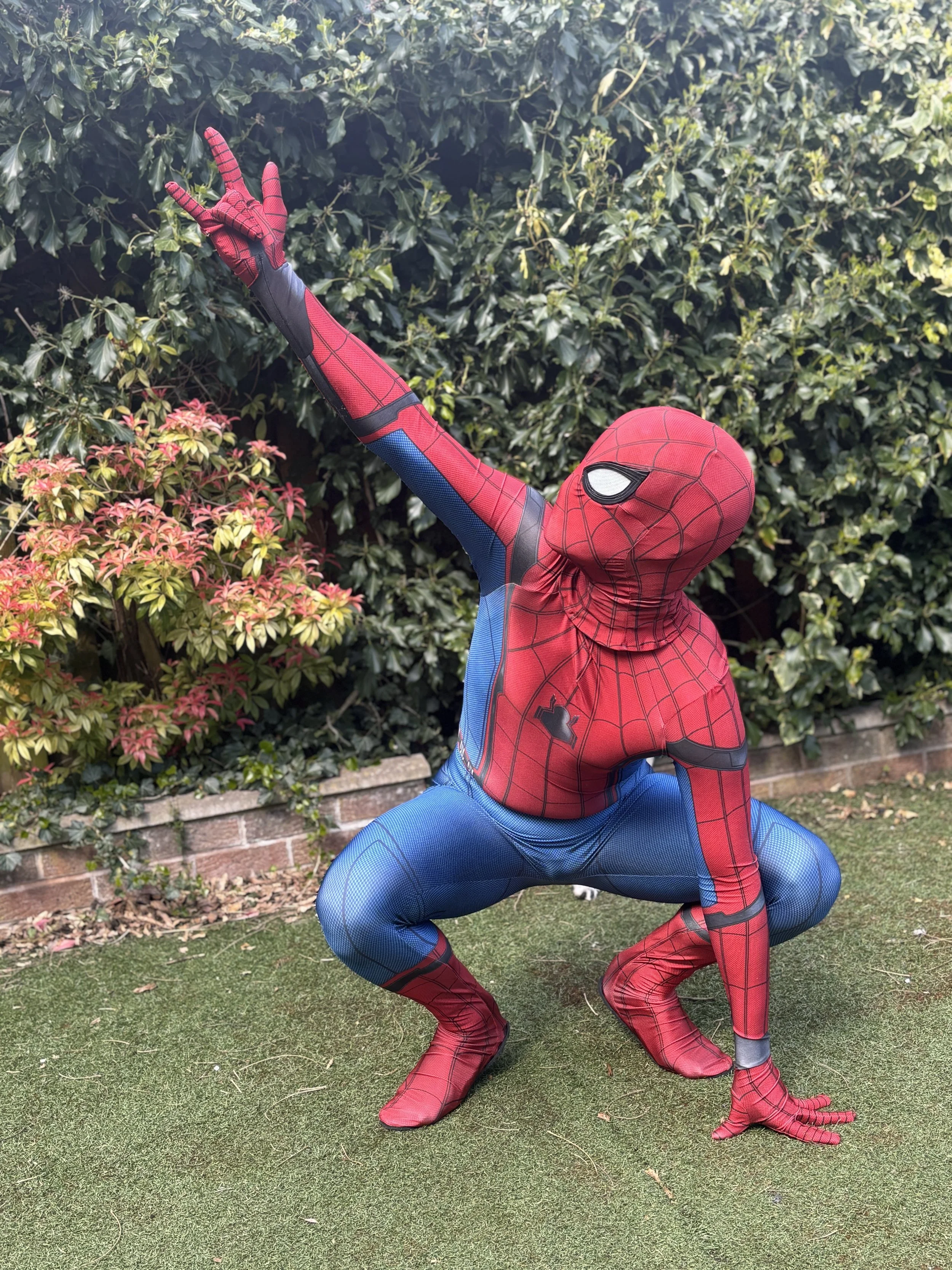 The Spider Guy