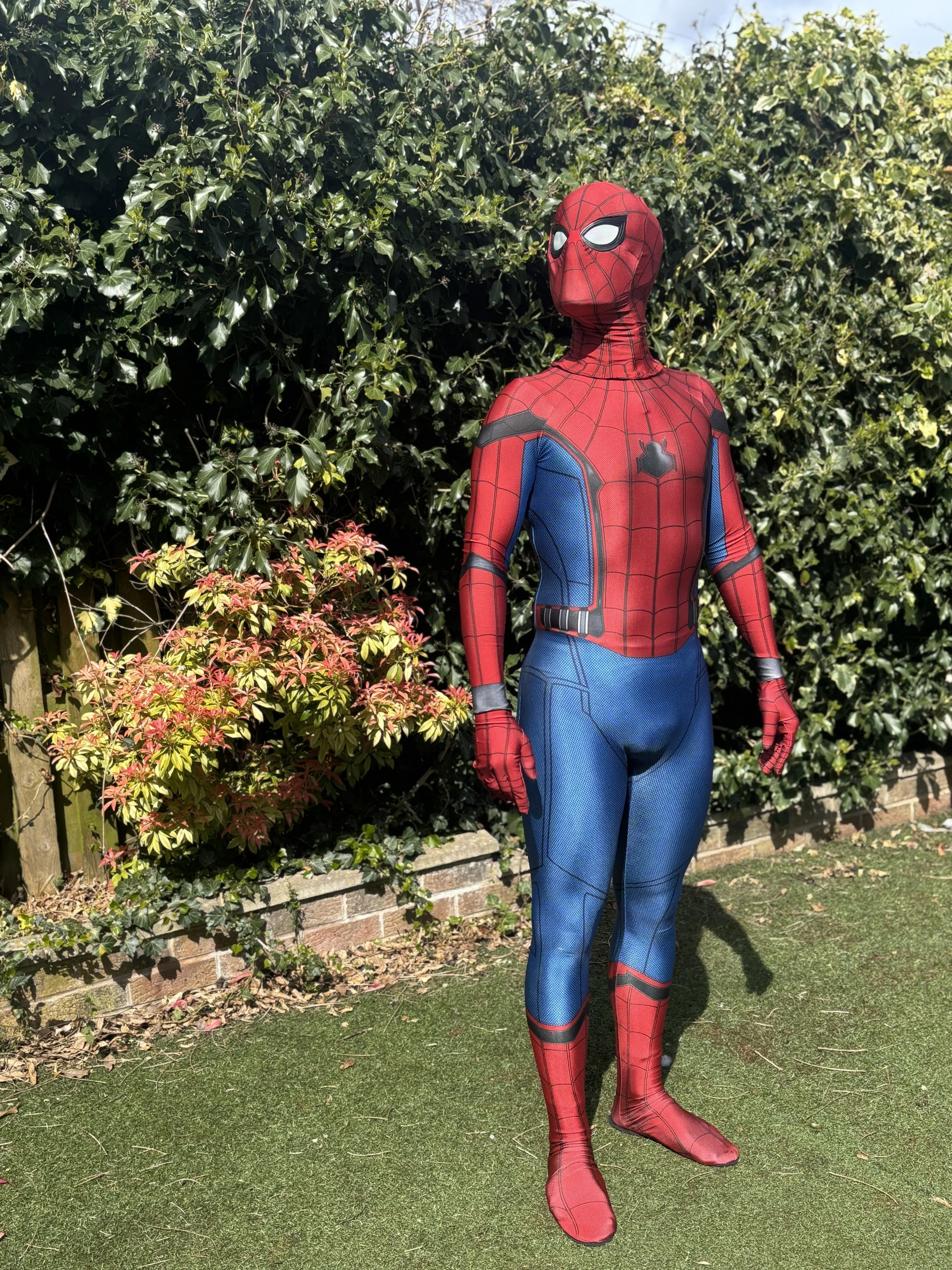 The Spider Guy