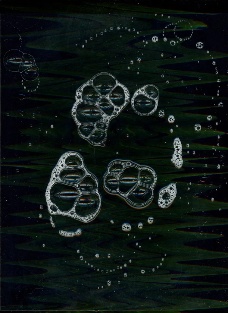 Close-up of soap bubbles floating on a dark green leaf surface. Created with scanography