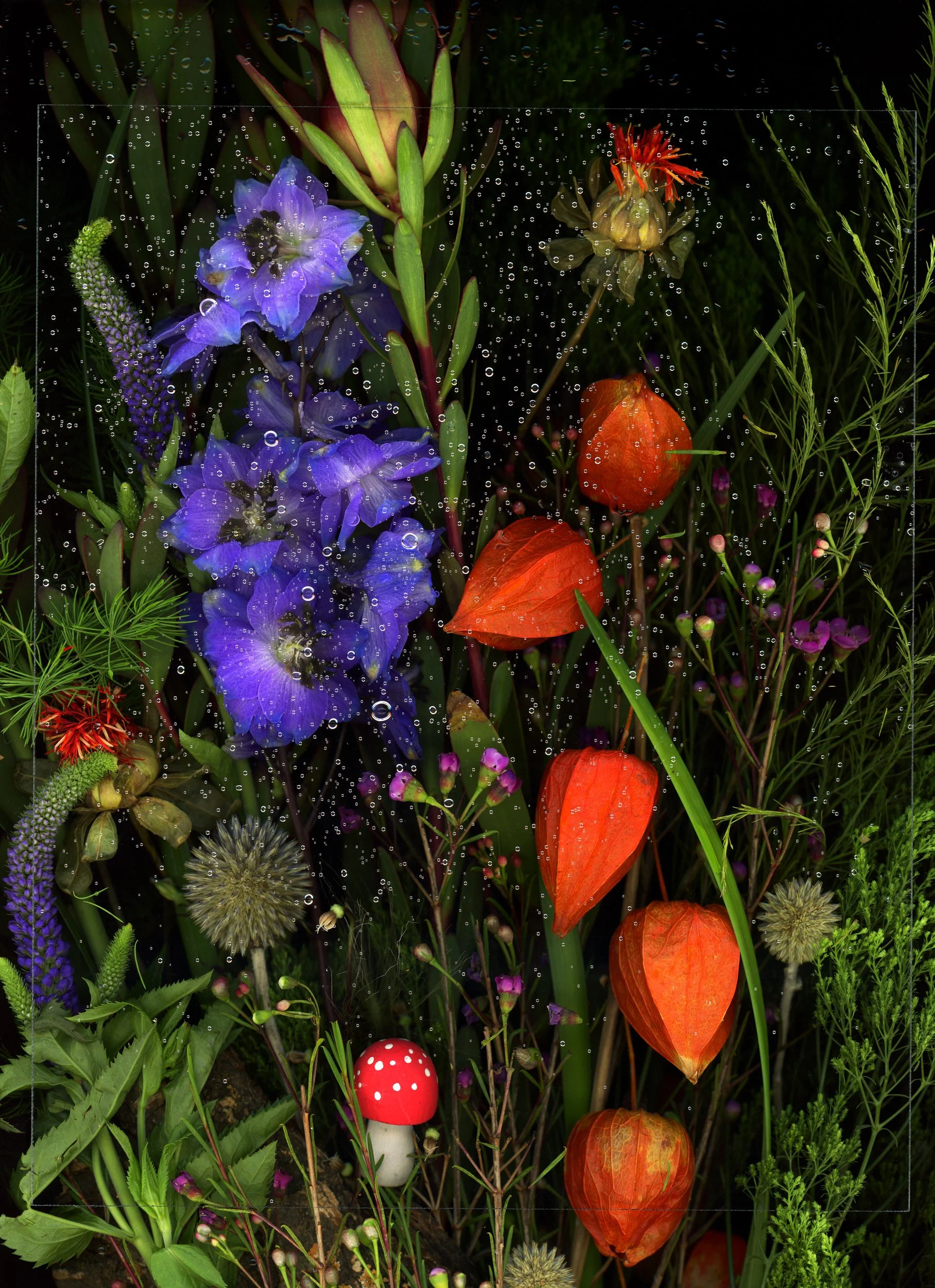 Mixed garden flowers including purple delphiniums, orange Chinese lantern plants, a red mushroom with white spots, and various green foliage with dew drops. This image showcases botanicals using the scanography technique.
