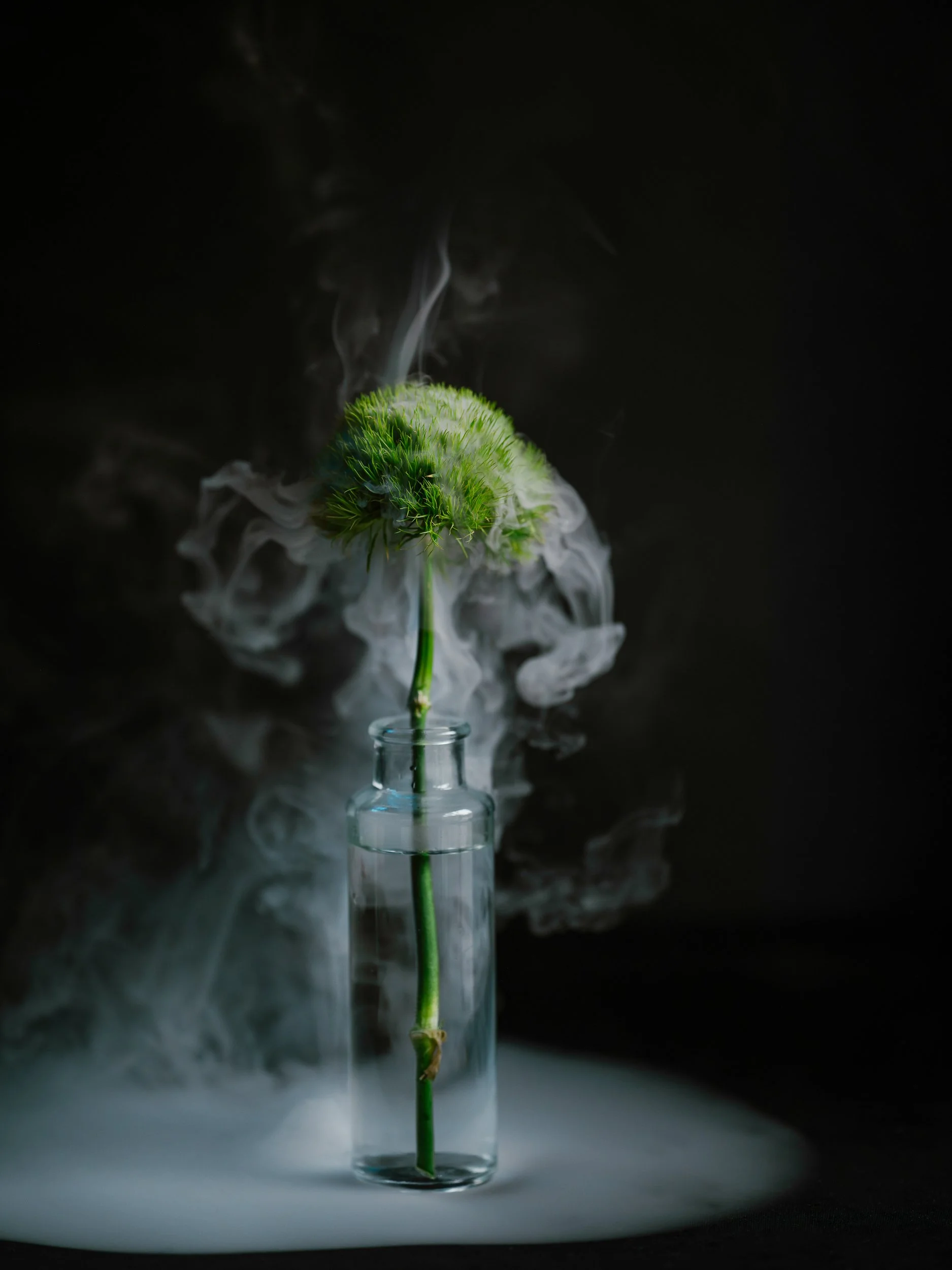 Haley_Nelson_Flower_Smoke_Final_Hasselblad_Content_Fine_Art_1_web-15.jpg