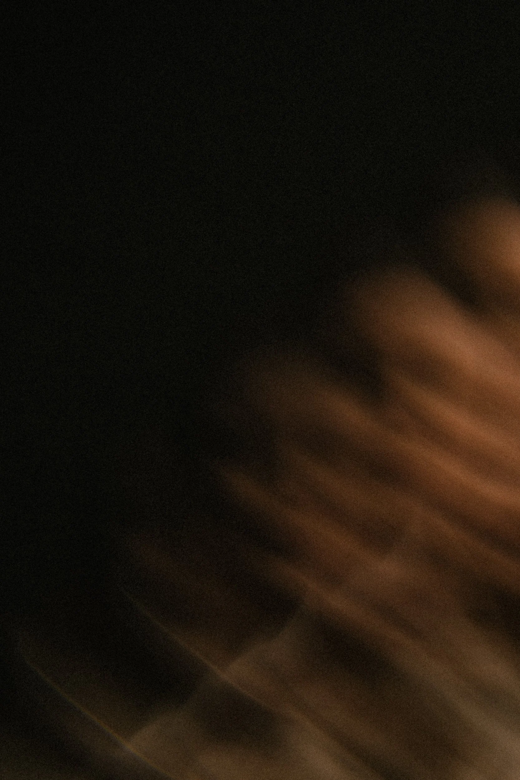 Blurred motion picture with dark background and streaks of brown and orange light.