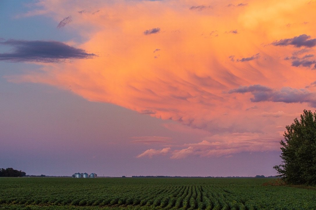 A vast agricultural field with green crops stretching to the horizon under a colorful sunset sky with pink, orange, and purple clouds. There are silos visible in the distance and trees on the right side of the image.