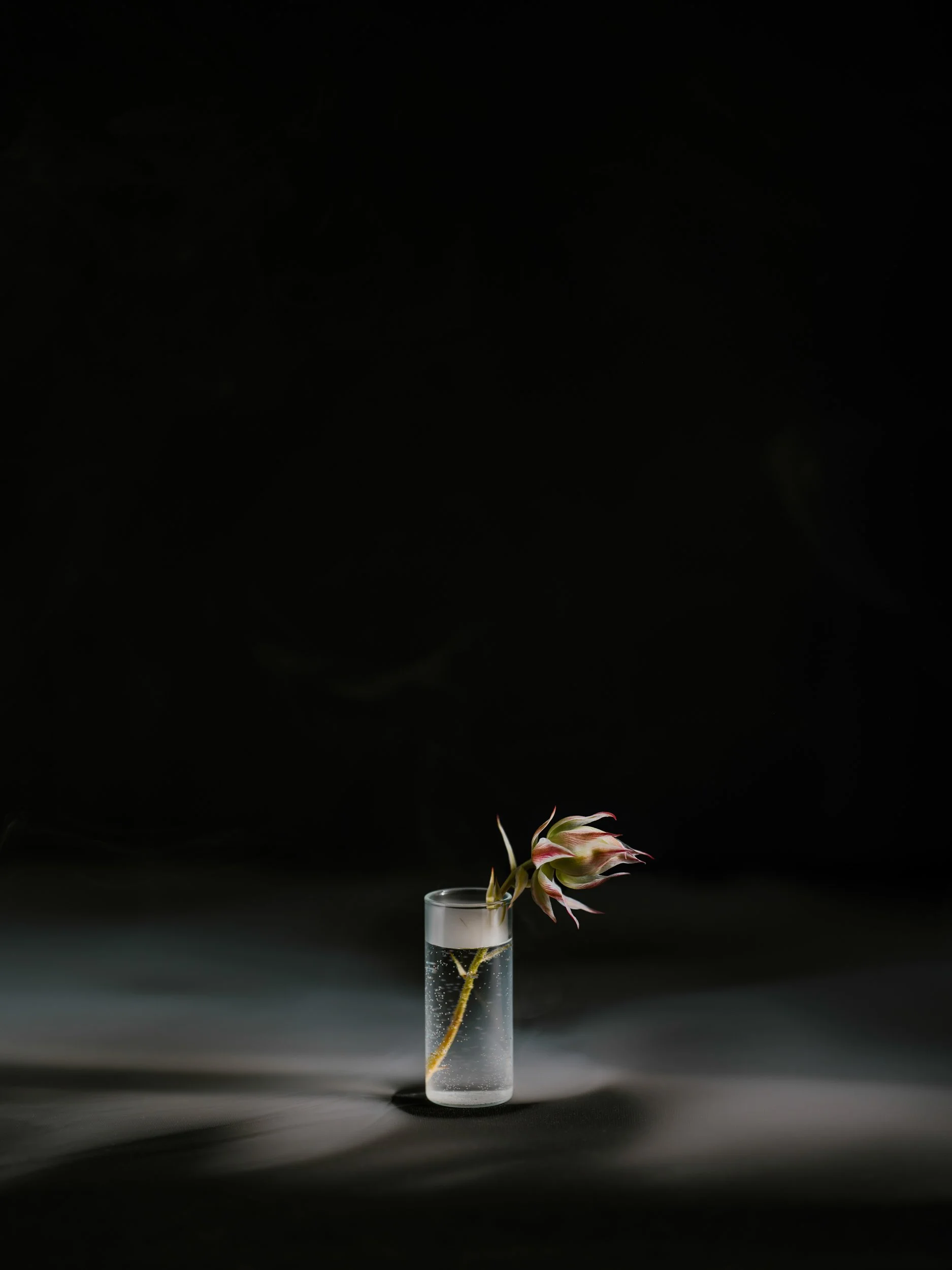 Haley_Nelson_Flower_Smoke_Final_Hasselblad_Content_Fine_Art_1_web-4.jpg