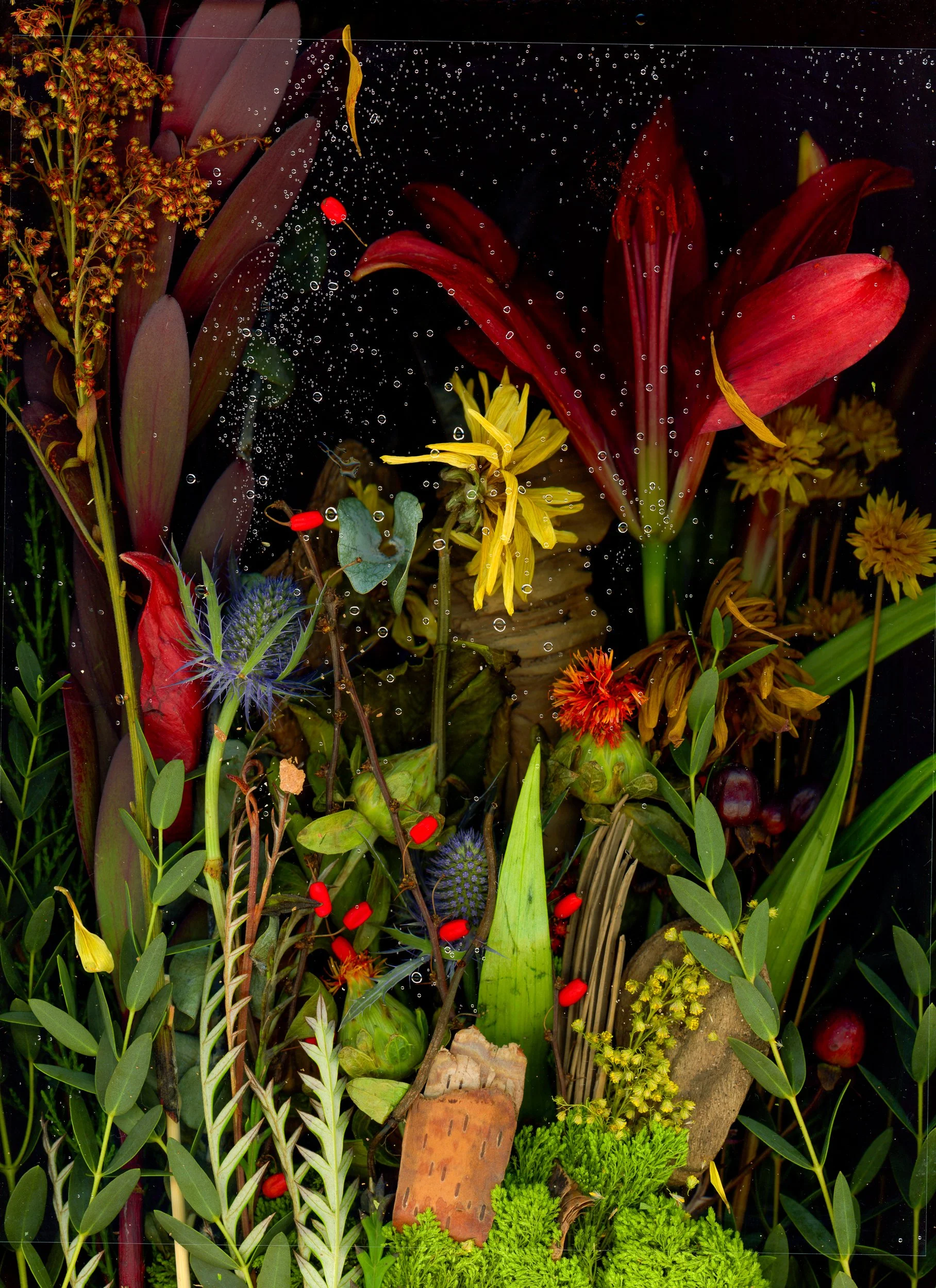 HN-RadScanz-PlzDontStealMyShit-BTS-NovemberFlowers_Day2_Scans_web-15.jpg