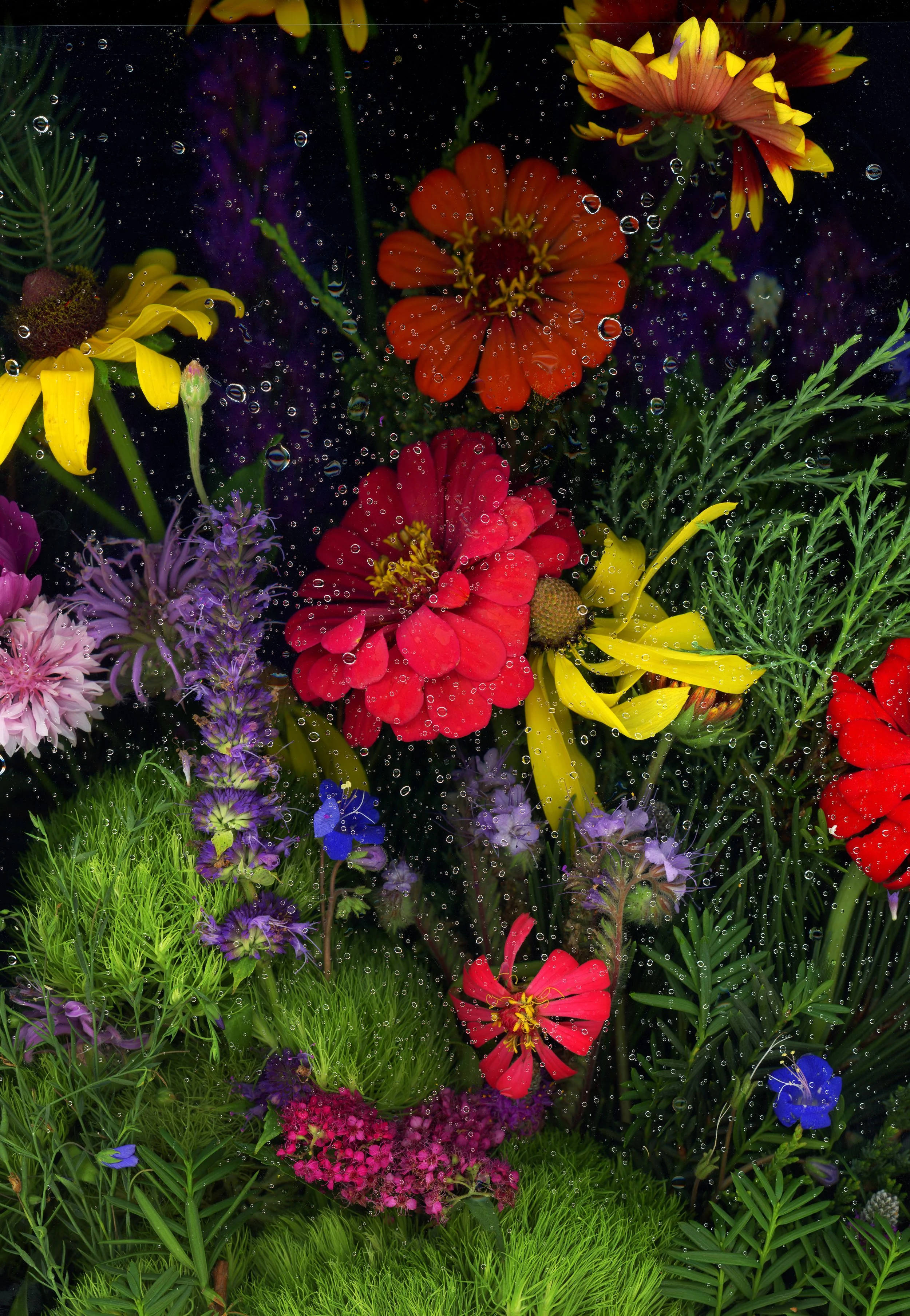 Wildflowers2.jpg