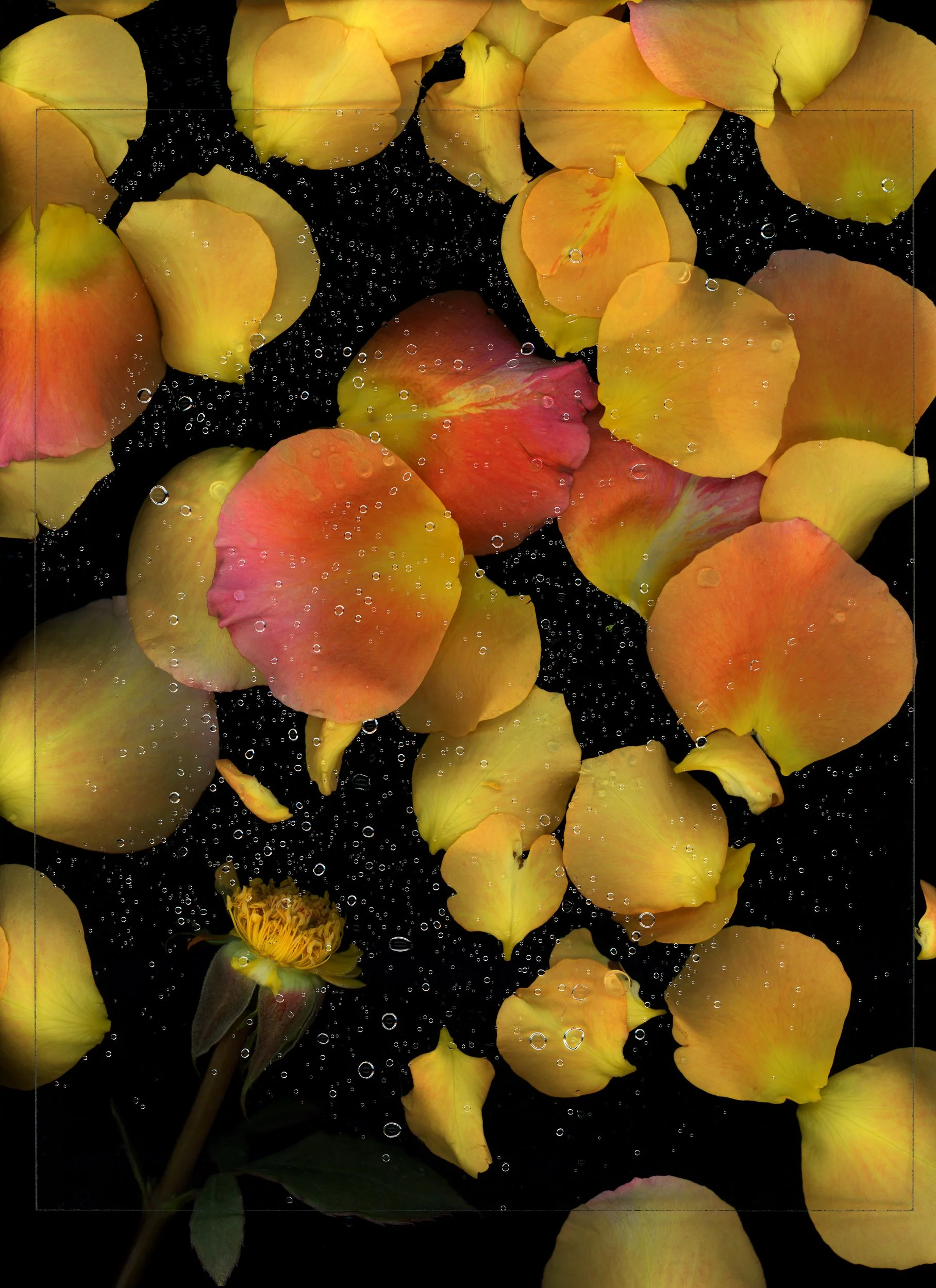 hfc_scan_20250703_20384772.jpg