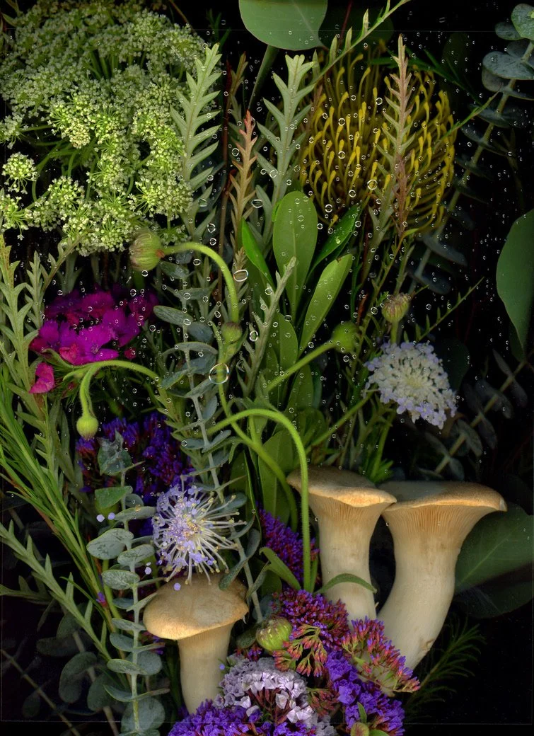 A dense arrangement of various wildflowers and greenery, featuring white, purple, and yellow flowers, accompanied by beige mushrooms and dewdrops on leaves. This image showcases botanicals using the scanography technique.