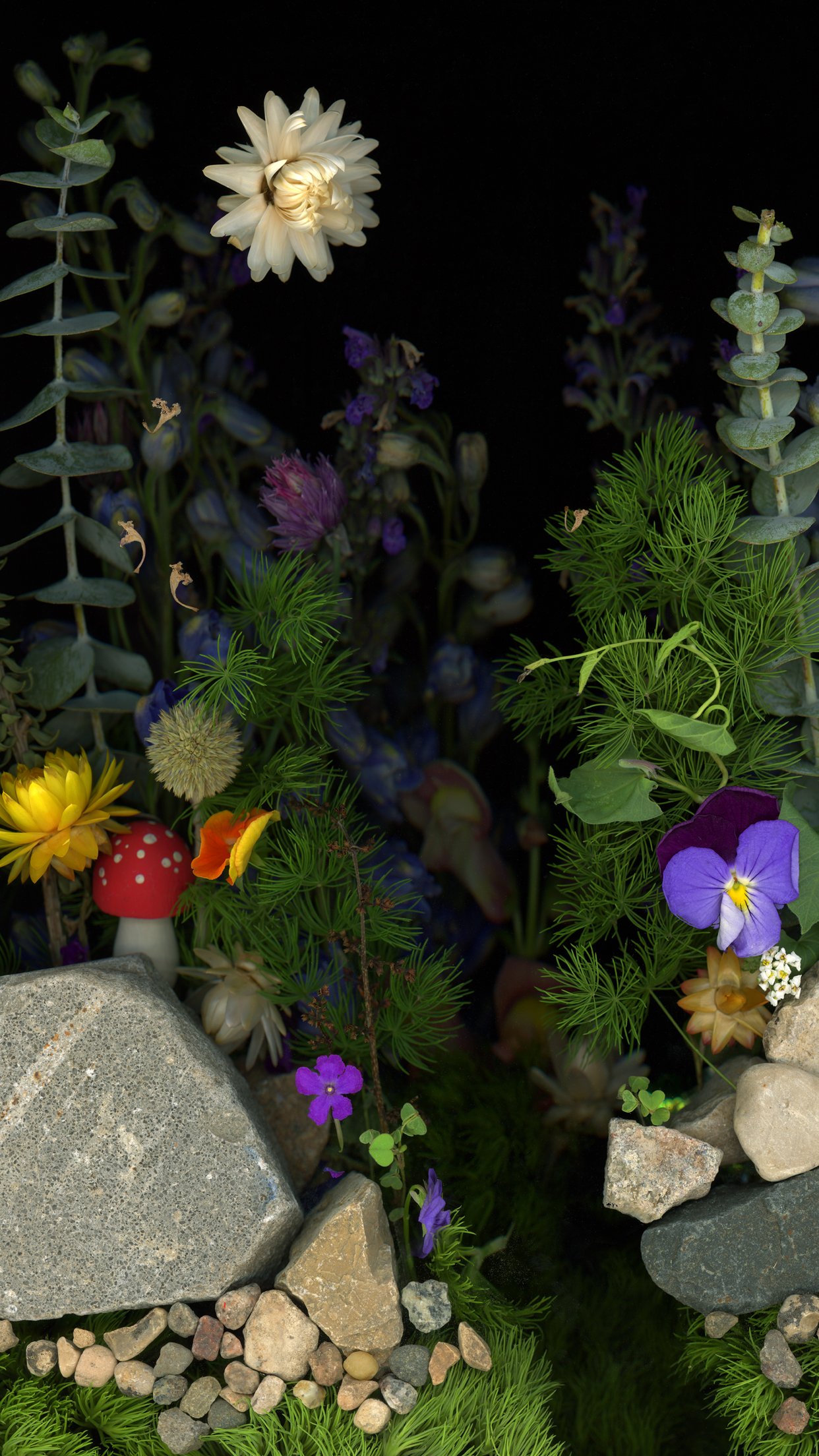 A small garden scene with various colorful flowers, green plants, rocks, and stones against a black background. Captured using scanography. 
