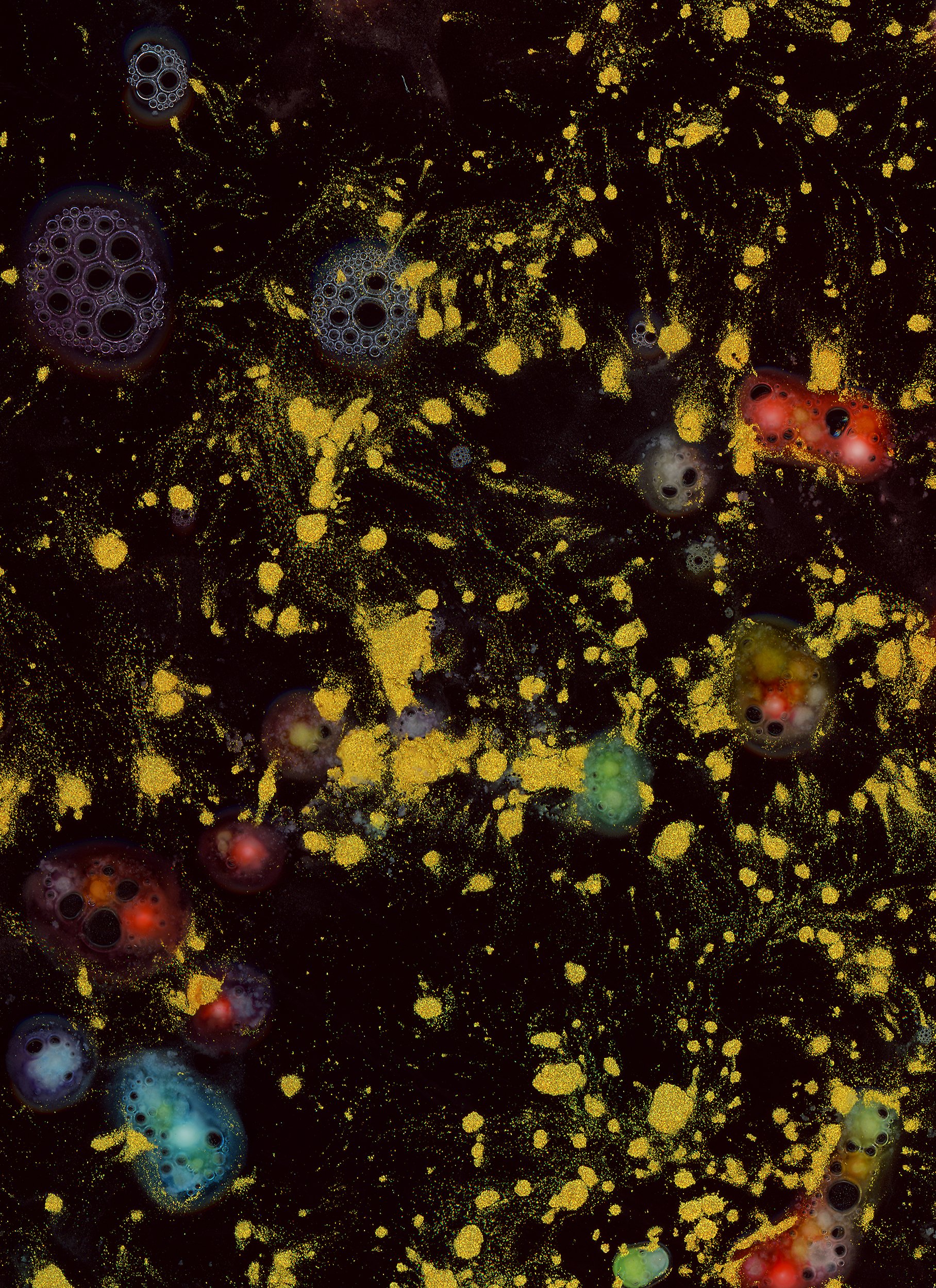 HN-RadScanz-PlzDontStealMyShit-BTS-NovemberFlowers_Day2_Scans2_Cookies_-39fdye.jpg