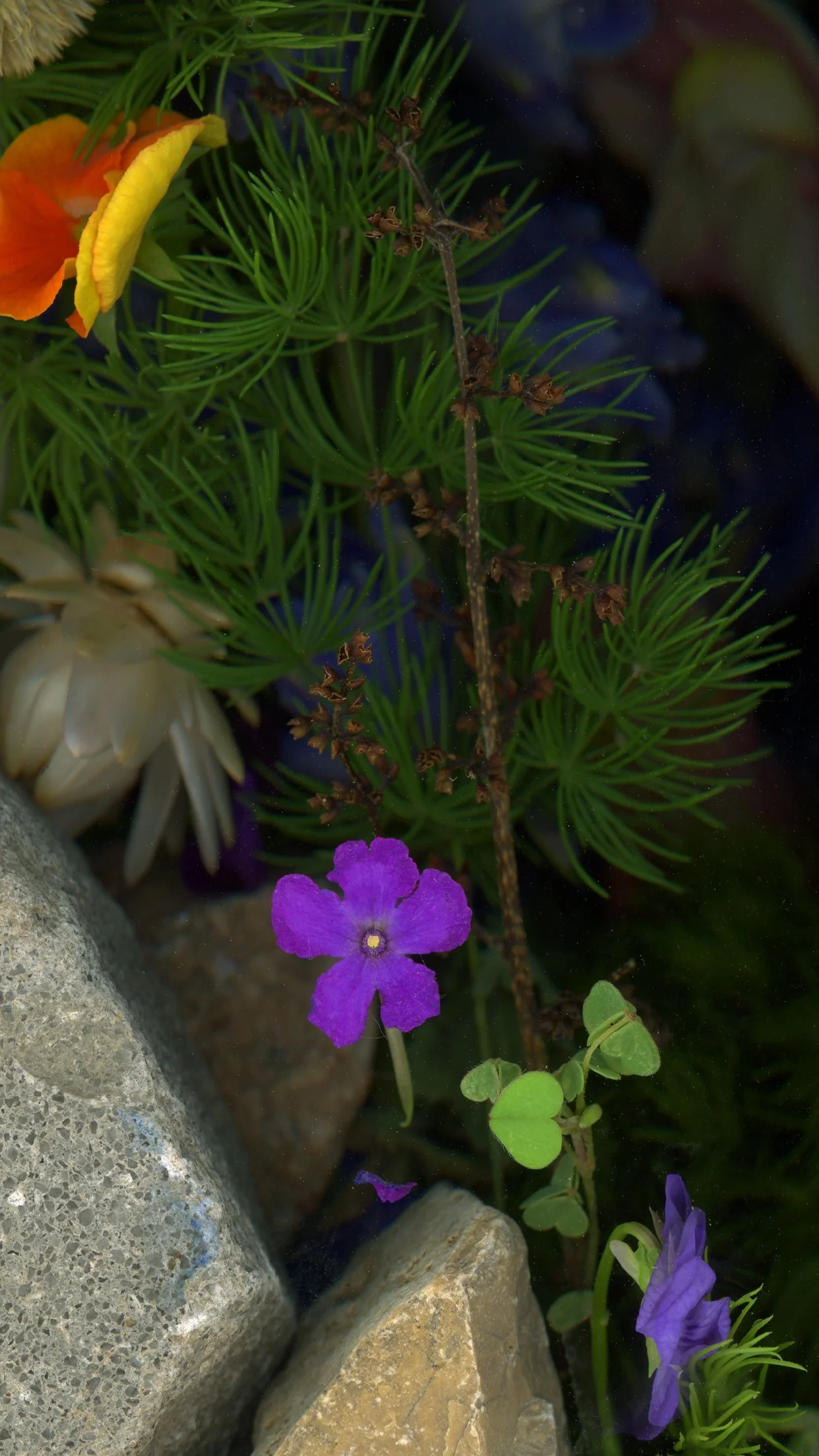 Colorful flowers, including purple, orange, and white, surrounded by green plants and rocks. Captured using scanography. 