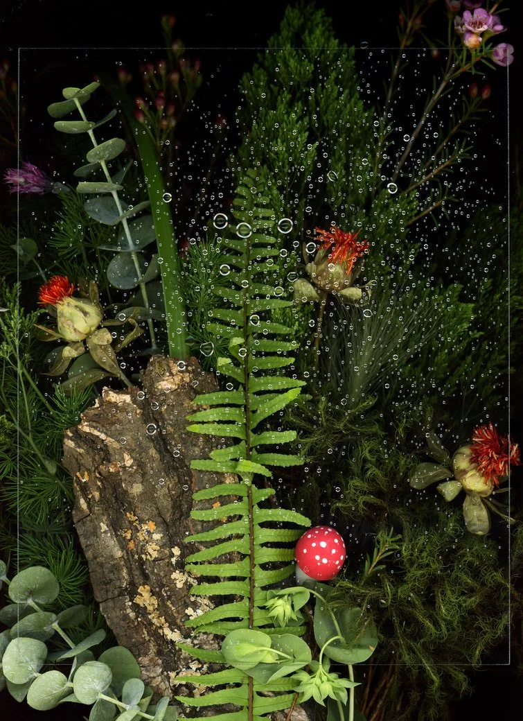 A dense collection of green plants, moss, a large piece of bark, water droplets, a small red mushroom, and colorful flowers. This image showcases botanicals using the scanography technique.
