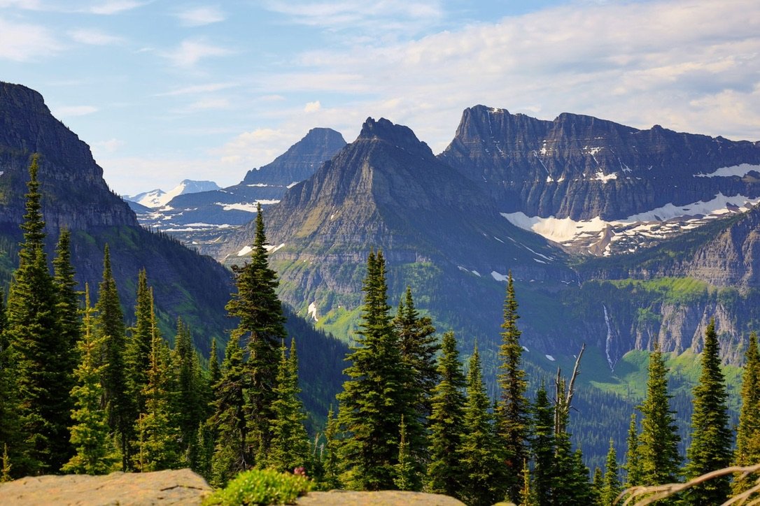 Mountain landscape with snow-capped peaks and dense evergreen forest in the foreground.